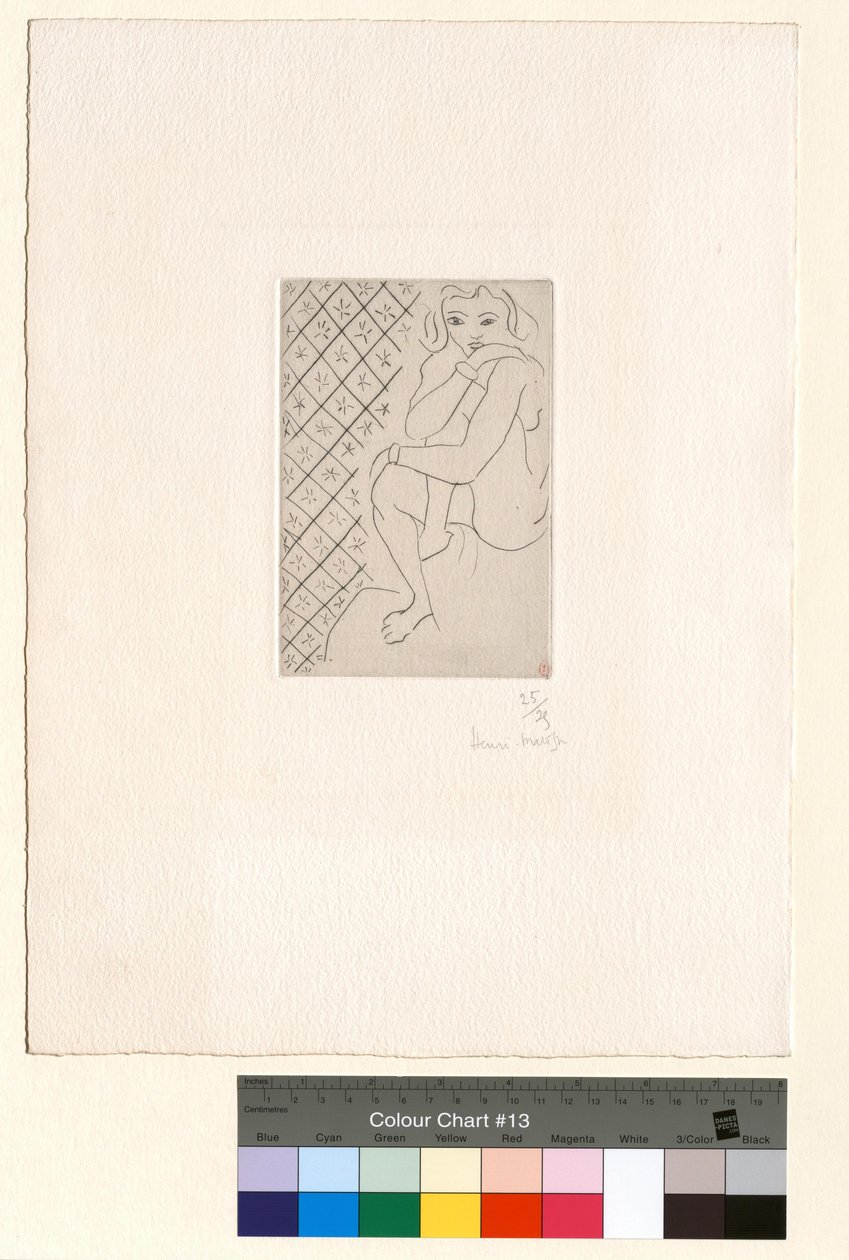Sedící akt, pozadí z hvězdicových dlaždic od Henri Matisse