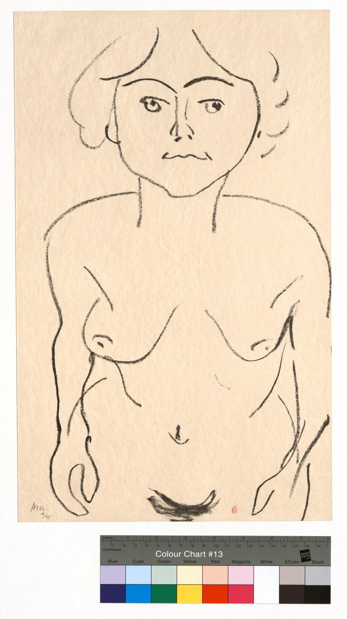 Akt zepředu, pohled shora od Henri Matisse
