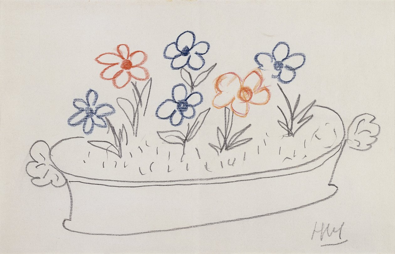 Některé květiny (tužka a barevné pastelky na papíře) od Henri Matisse