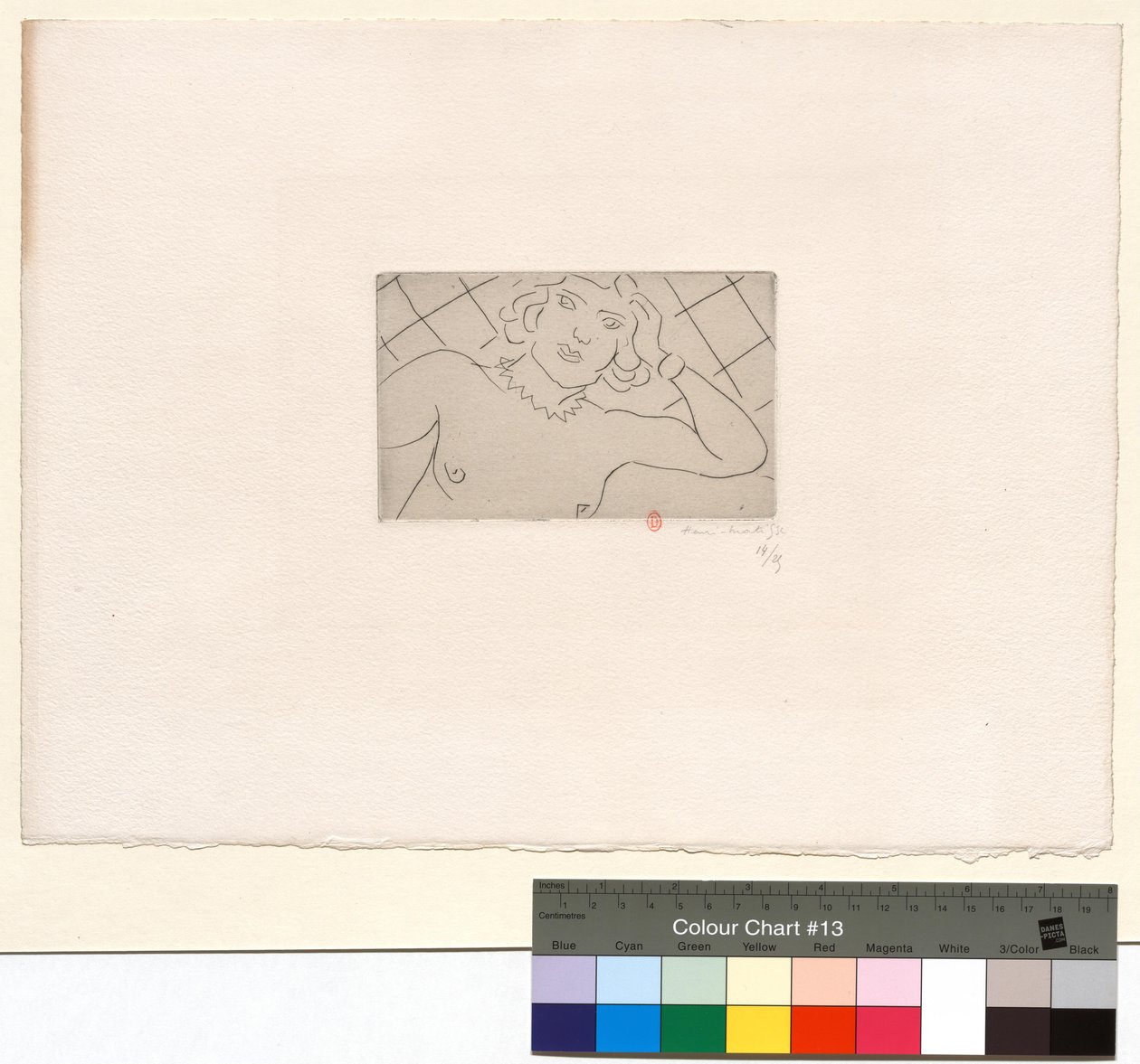 Hrudník, pozadí s kosočtverci od Henri Matisse