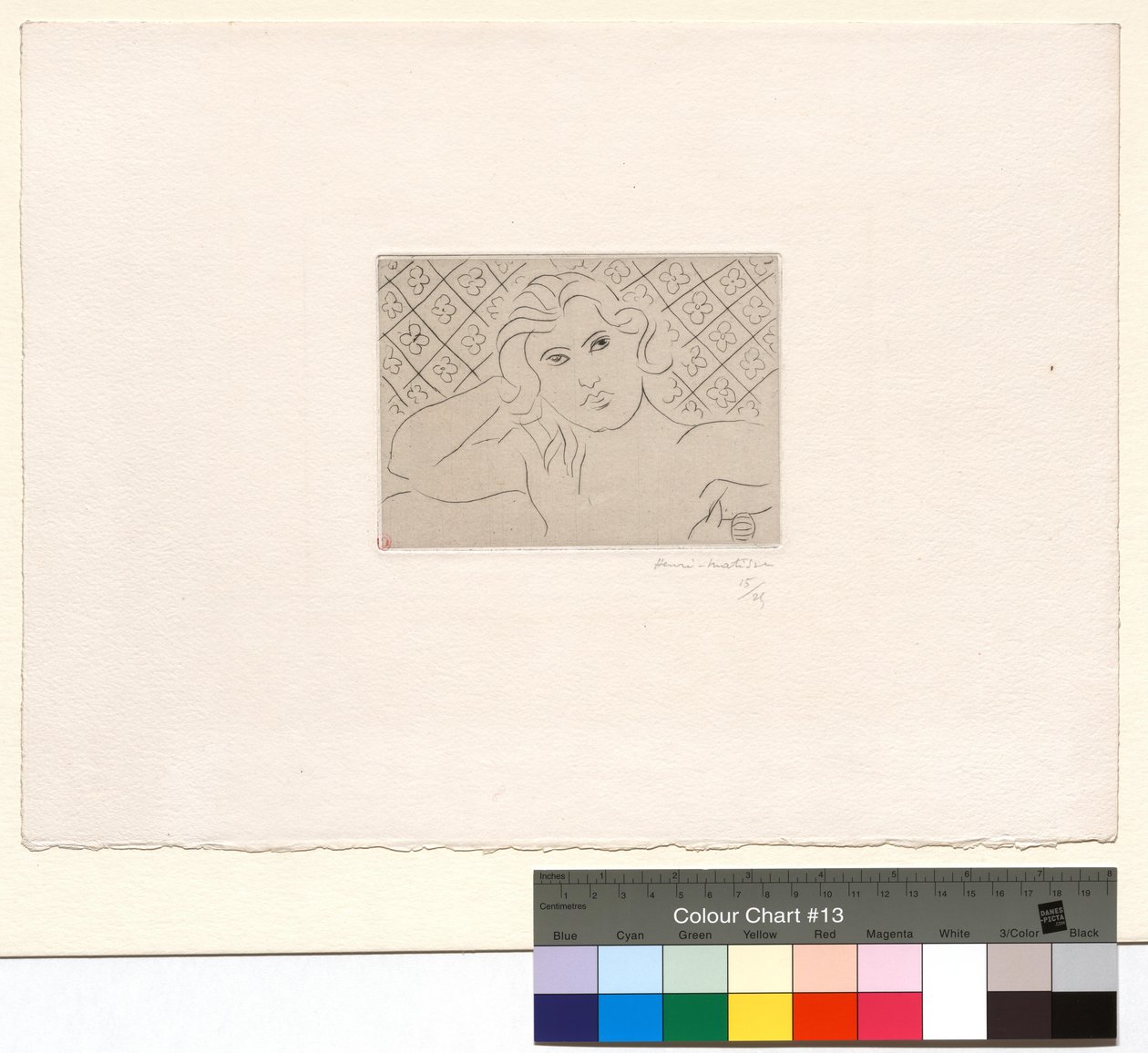 Hrudník, květinový vzor na pozadí od Henri Matisse