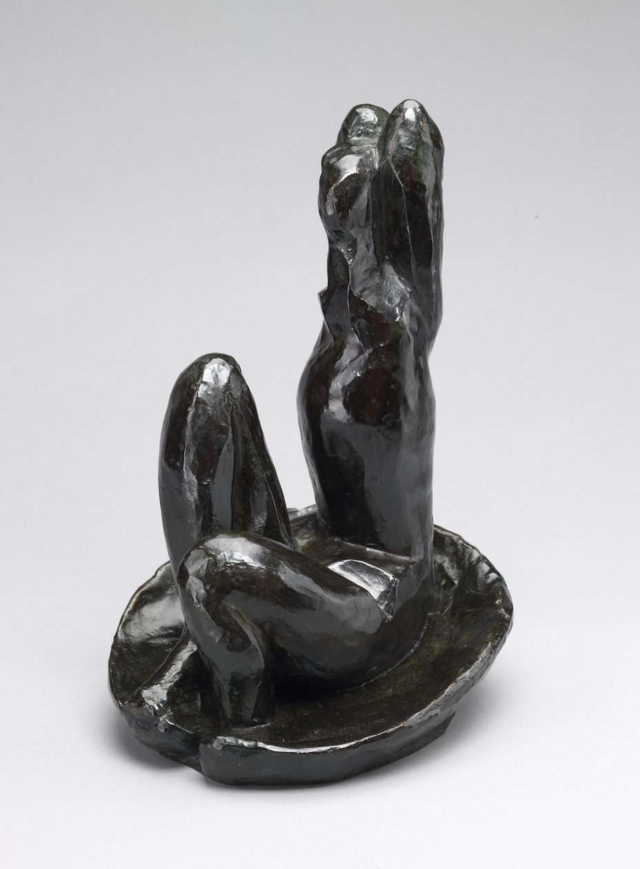 Venuše v ulitě I od Henri Matisse