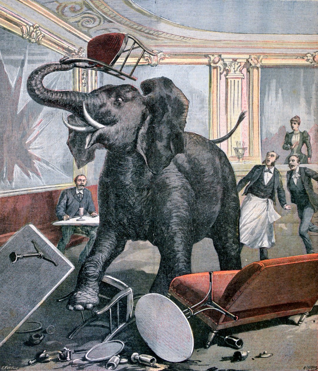 Slon v Pre-Catalan Café, Toulouse, Francie, 1891 od Henri Meyer