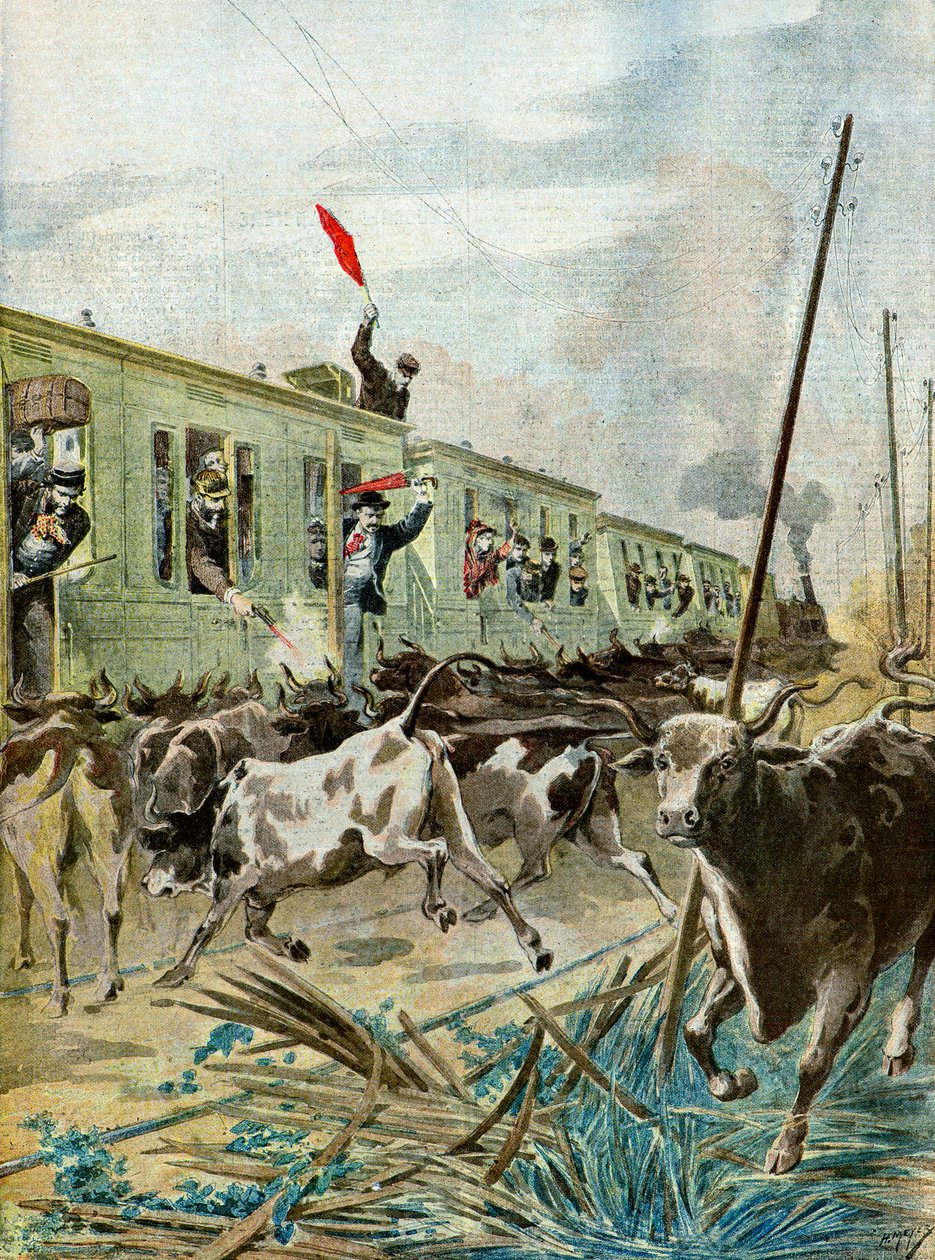 Vlak napadený stádem býků,1895 (Ilustrace) od Henri Meyer