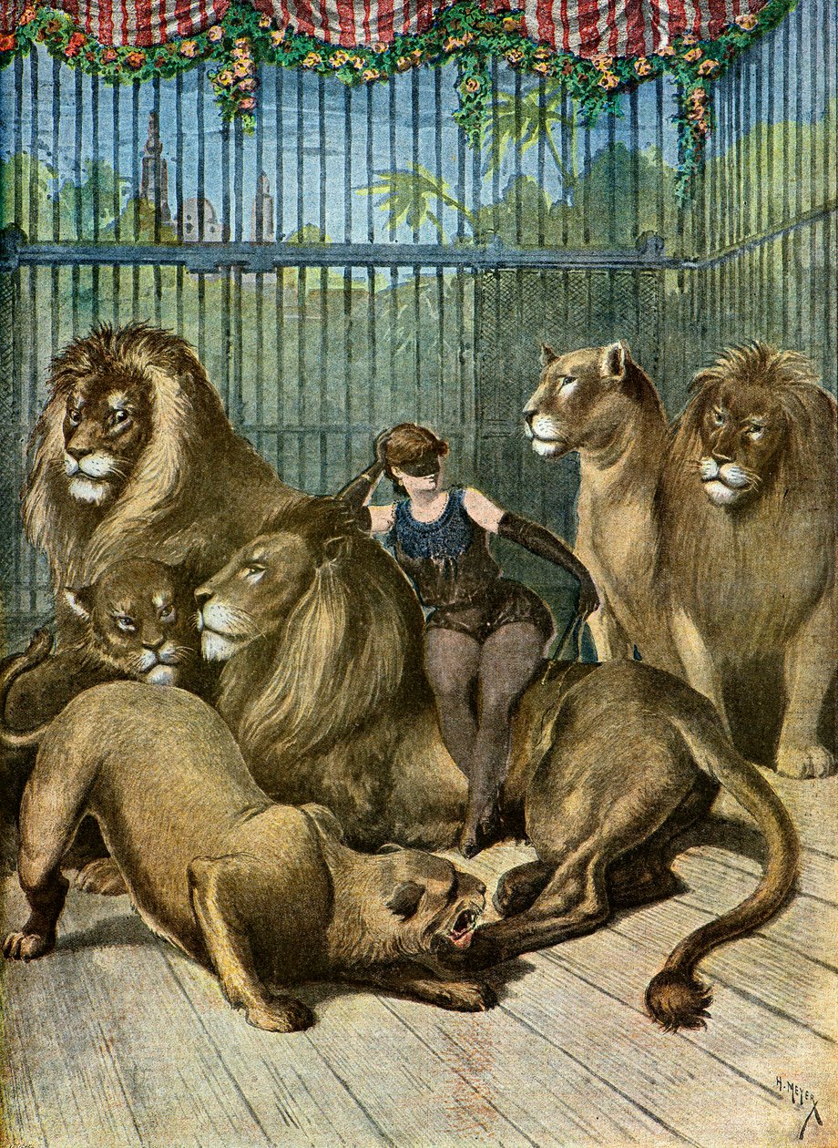 Portrét hraběnky X*** a jejích lvů, 1895 (Ilustrace) od Henri Meyer