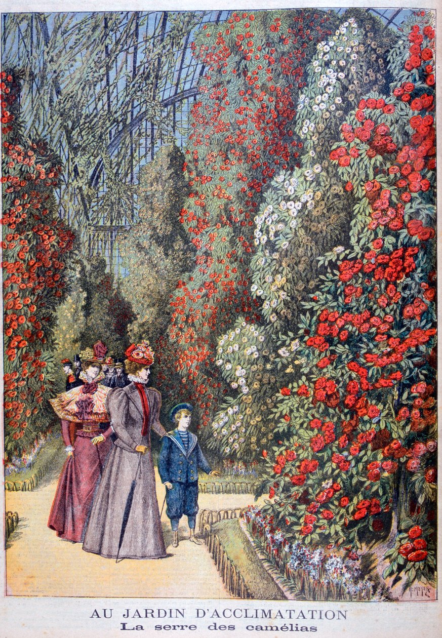 Skleník kamélií, zoologická zahrada, Paříž, 1897 od Henri Meyer