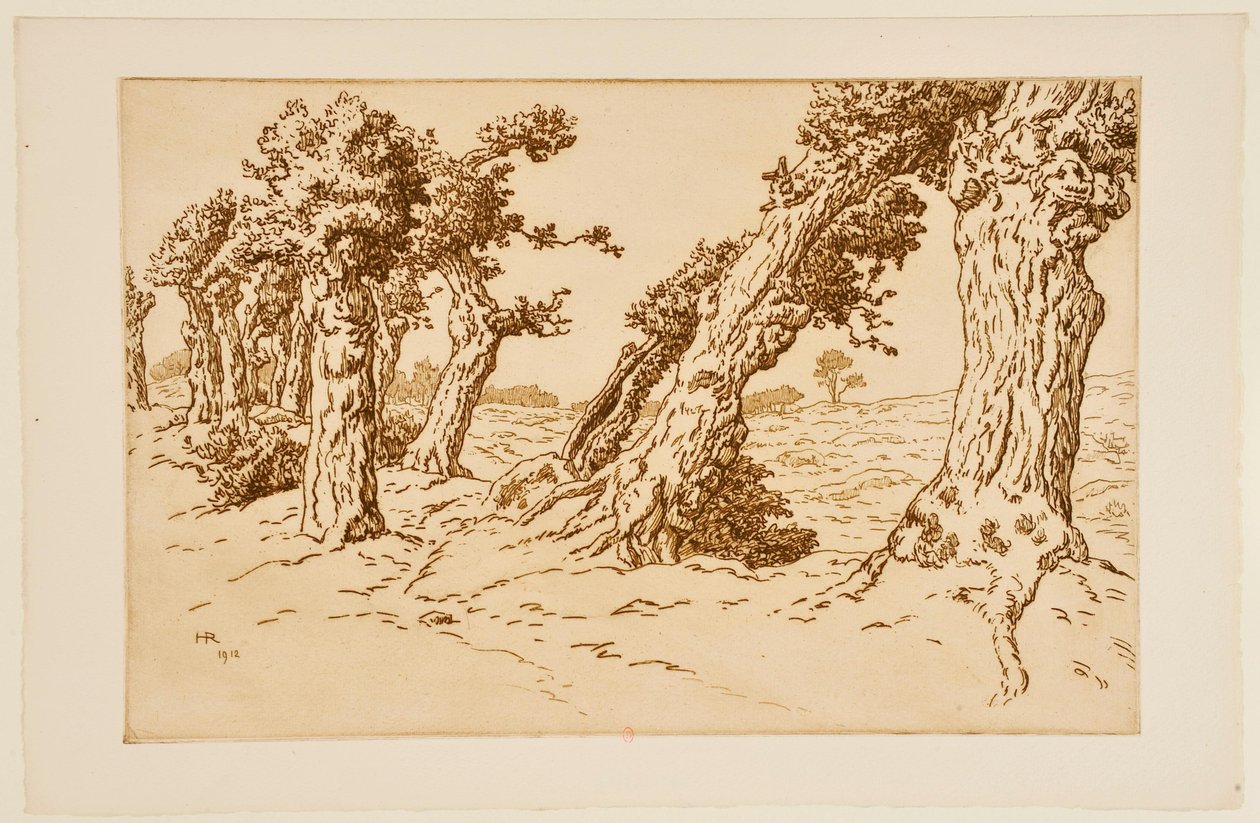 Knotige Baumstämme od Henri Rivière