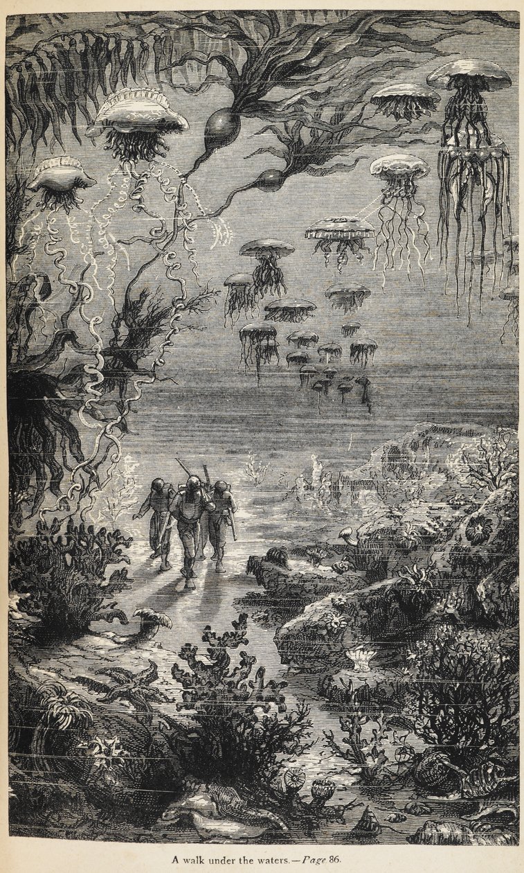 Kuvitus "20 000 liigaa meren alla", kirjoittanut Jules Verne od Henri Theophile Hildibrand