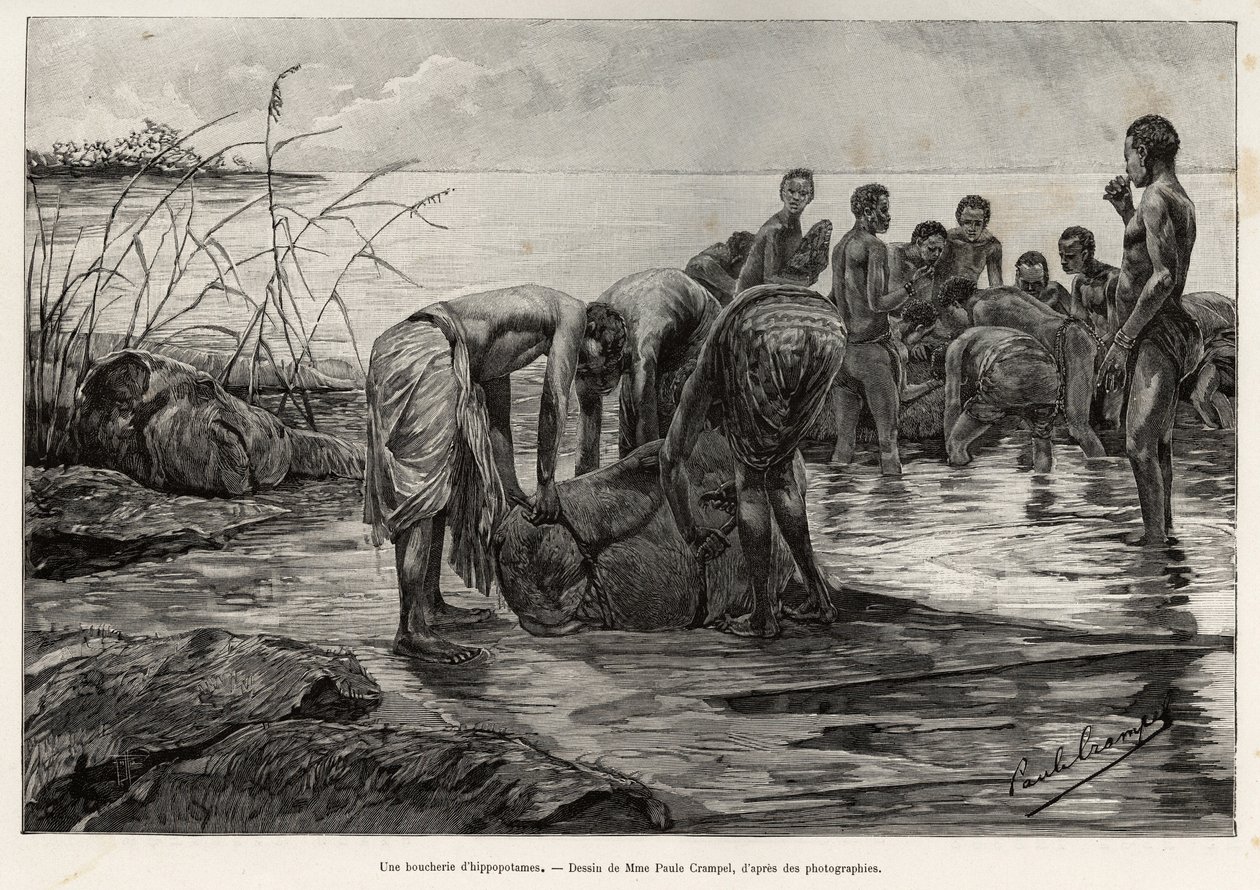 Hroší řeznictví na břehu středoafrické řeky. Rytina Henriho Thiriata k ilustraci příběhu „La mission Crampel““, od Alberta Nebouta (1862-1939), v roce 1890, v Le tour du Monde 1892, režie Edouard Charton (1807-1891), Hachette, Pa od Henri Thiriat