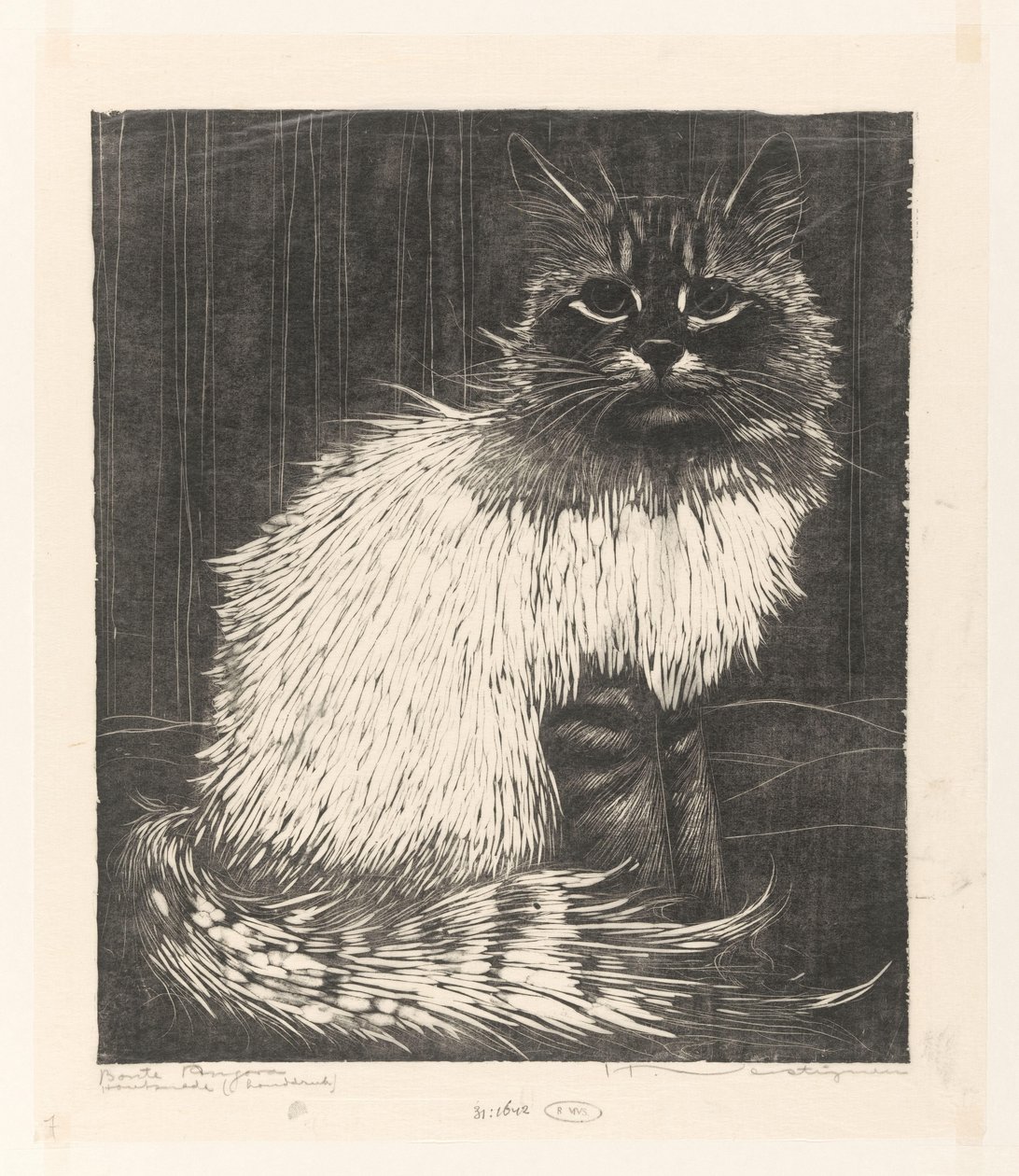 Bonte Angora (původní název na objektu) od Henri Verstijnen (signed by artist)