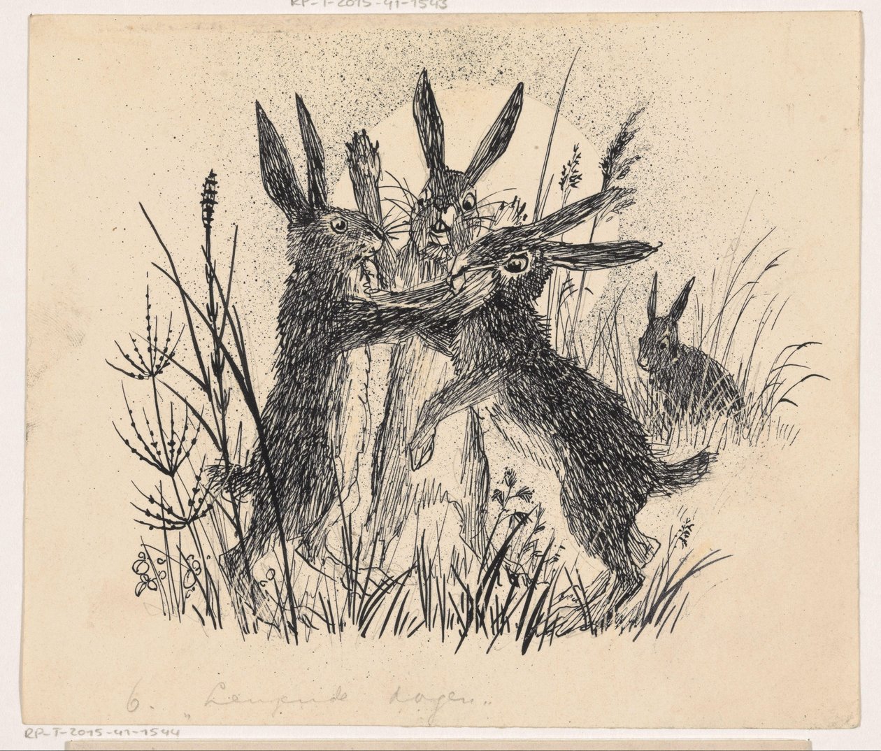 bojové zajíce od Henri Verstijnen