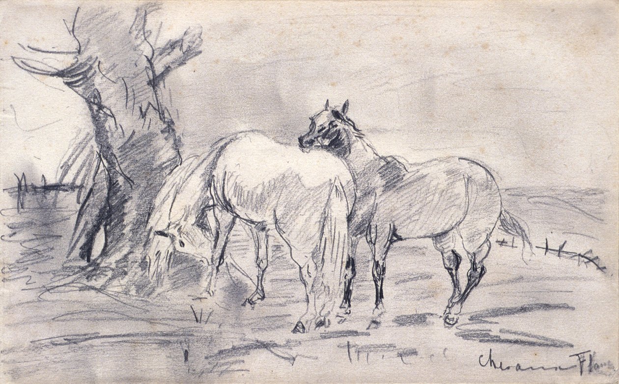 Koně od Henri de Toulouse-Lautrec