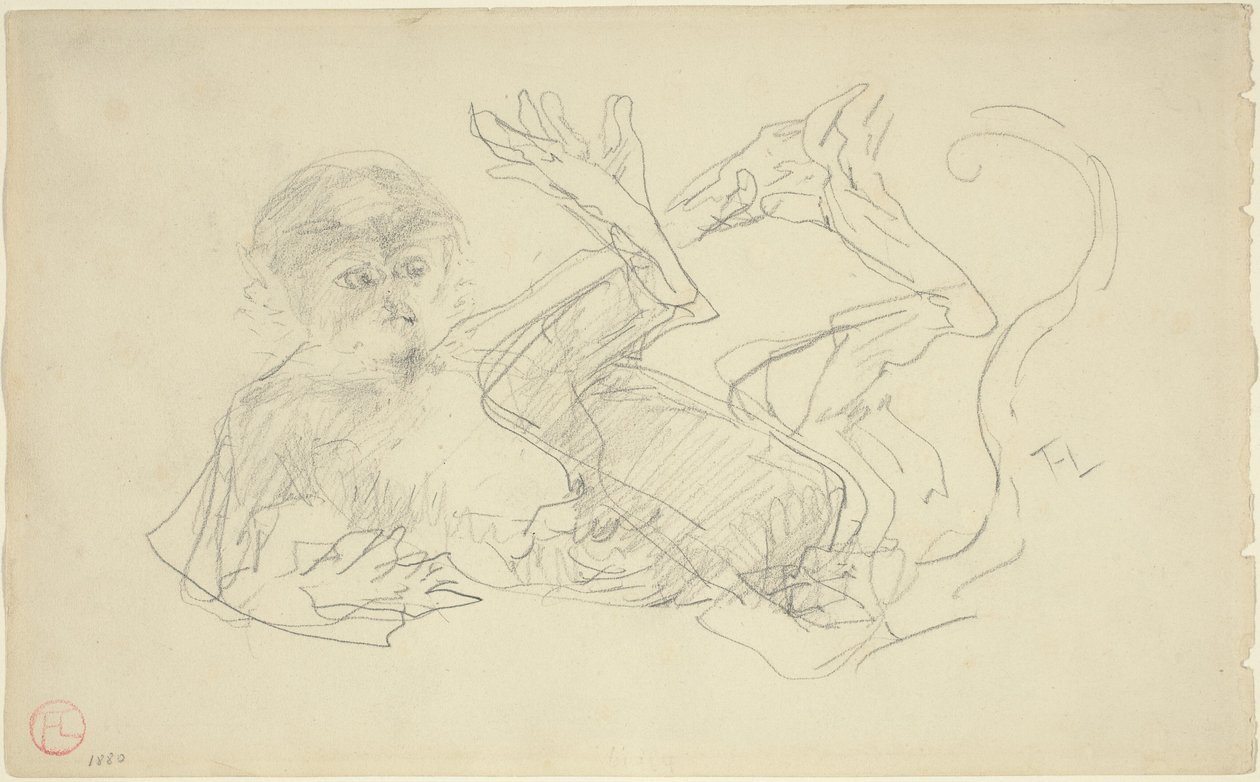 Opice hrající na zádech od Henri de Toulouse Lautrec