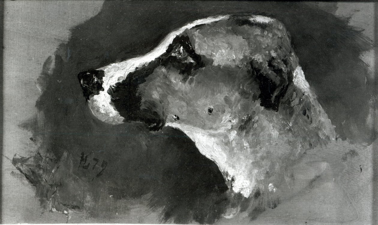 Hlava psa s krátkýma ušima, 1879 od Henri de Toulouse Lautrec