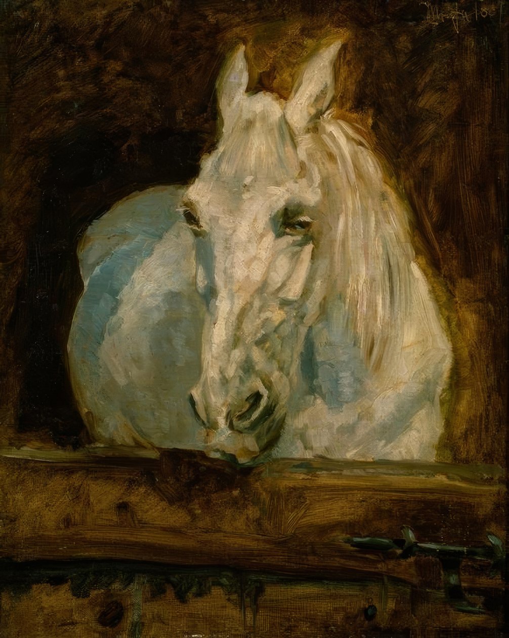 Gazela bílého koně od Henri de Toulouse Lautrec