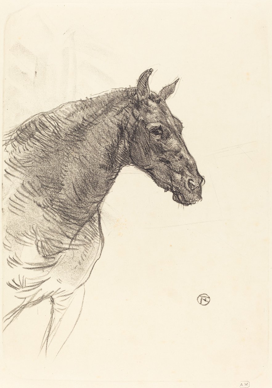 Starý kůň Starý kůň, 1897. od Henri de Toulouse Lautrec