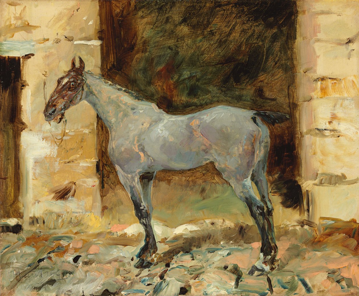 Upoutaný kůň; Cheval atašé, kolem roku 1881 od Henri de Toulouse Lautrec
