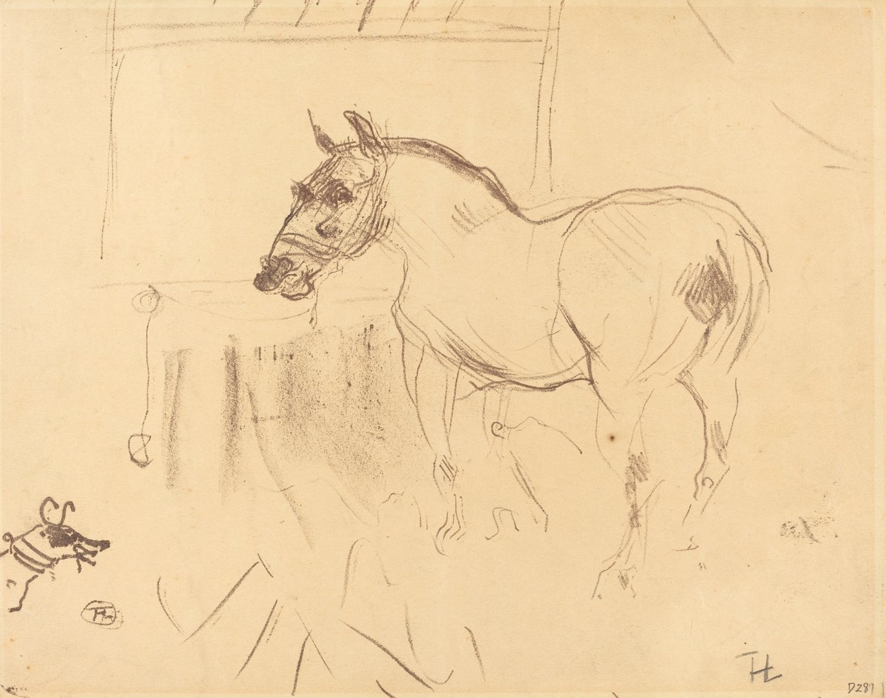 Malý poník z Calmese Malý poník z Calmese, 1899. od Henri de Toulouse Lautrec