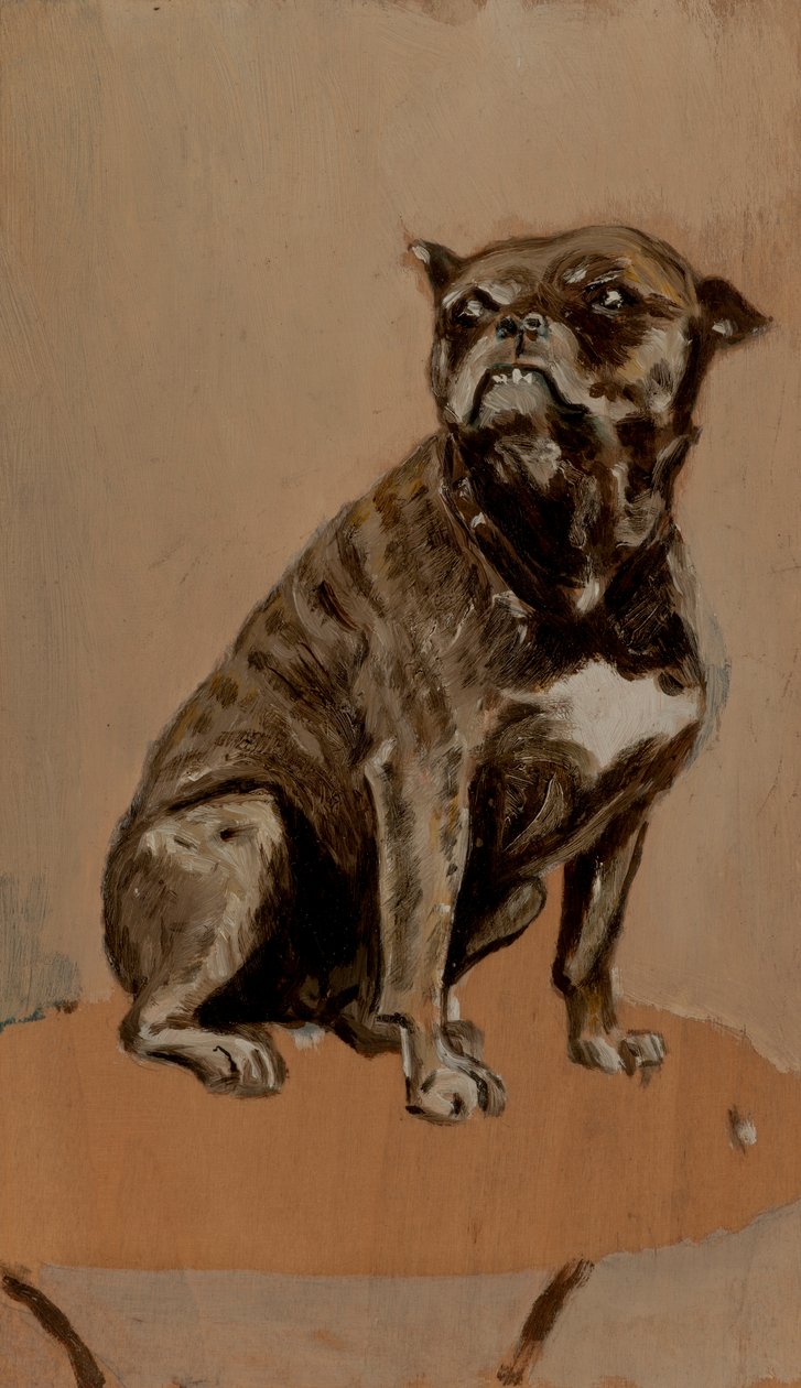 Touc, sedící na stole od Henri de Toulouse Lautrec