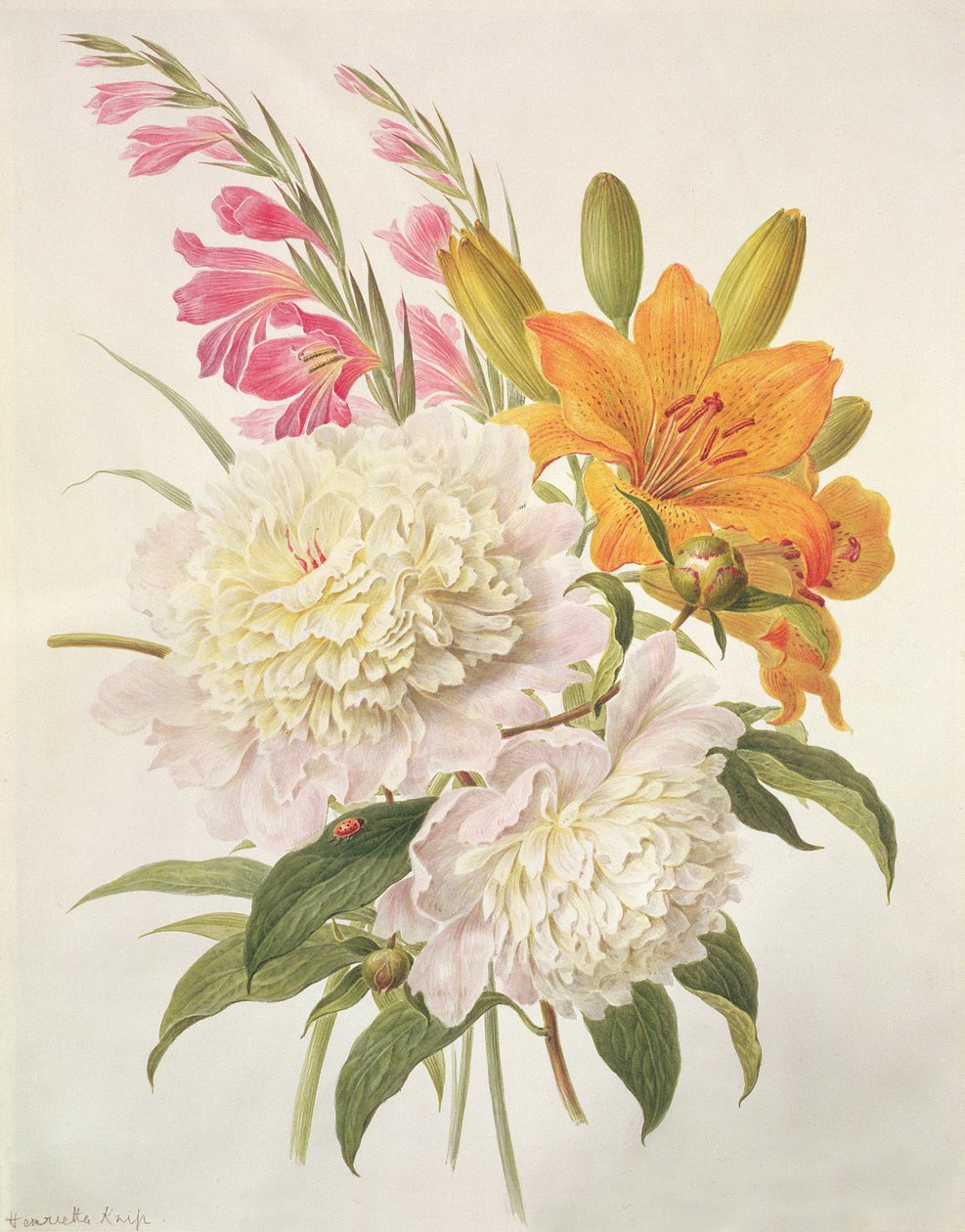 Spreje Gladioli, Pivoňky a Lilium Bulbiferum od Henriette Gertruide Knip