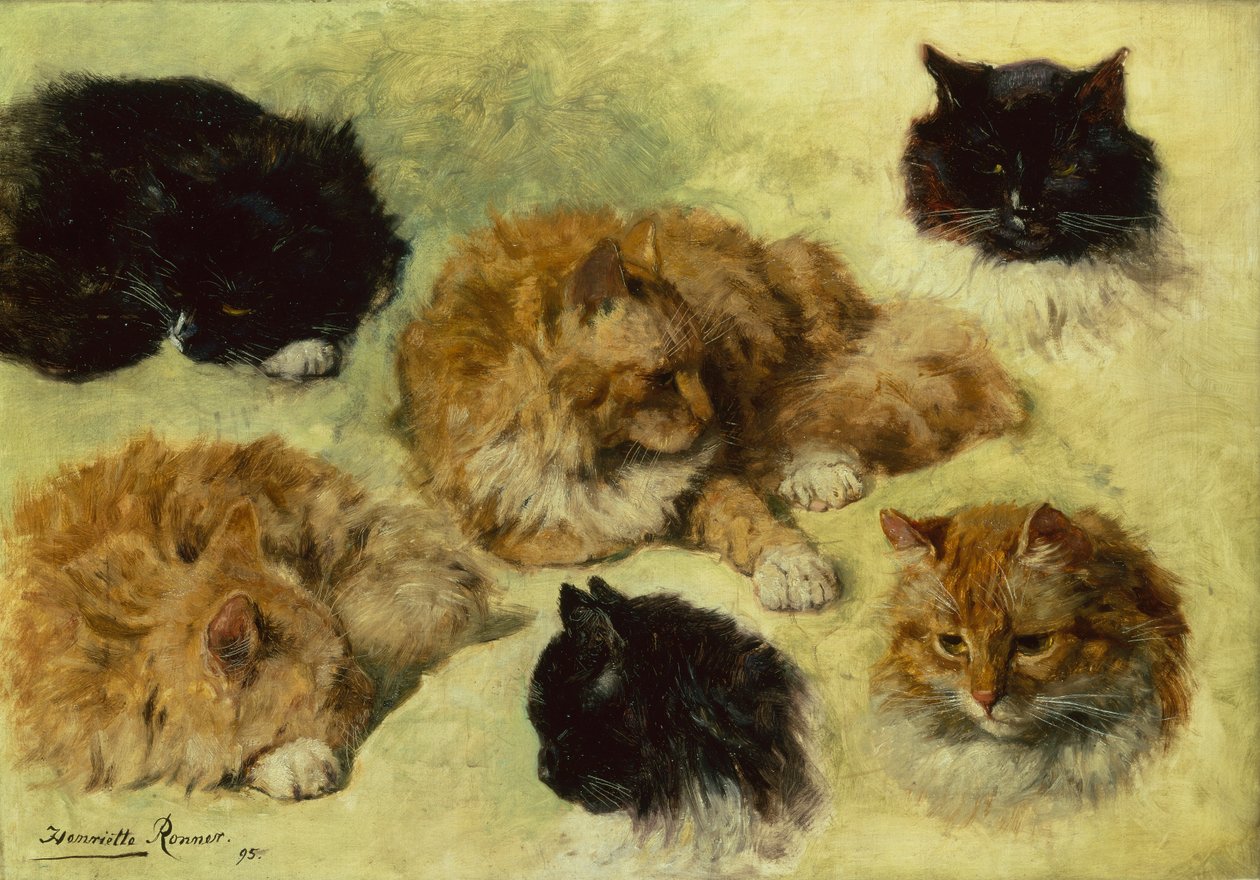 Studie koček od Henriëtte Ronner Knip