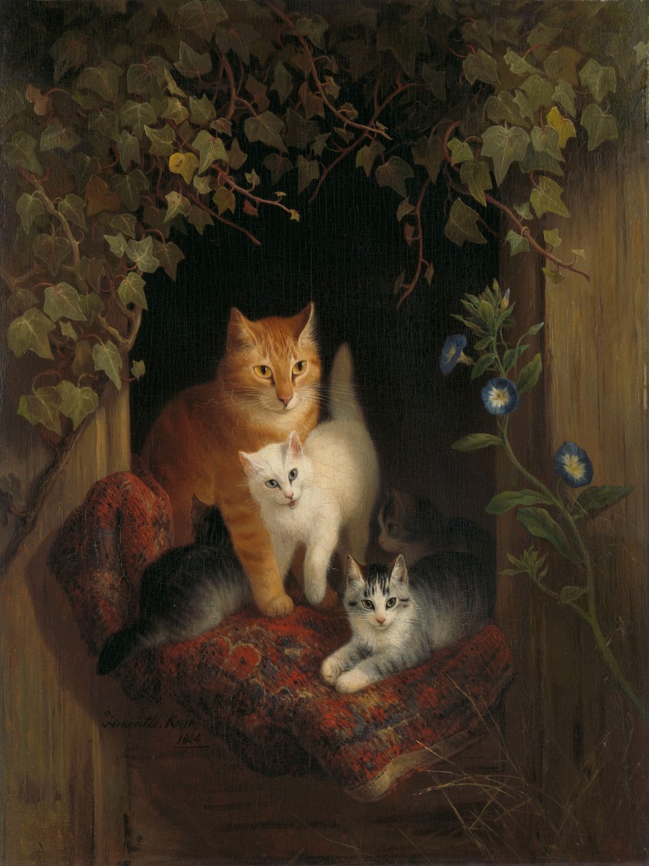  od Henriette Ronner