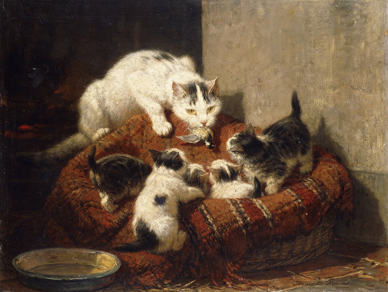 opeřený dárek, od Henriëtte Ronner Knip