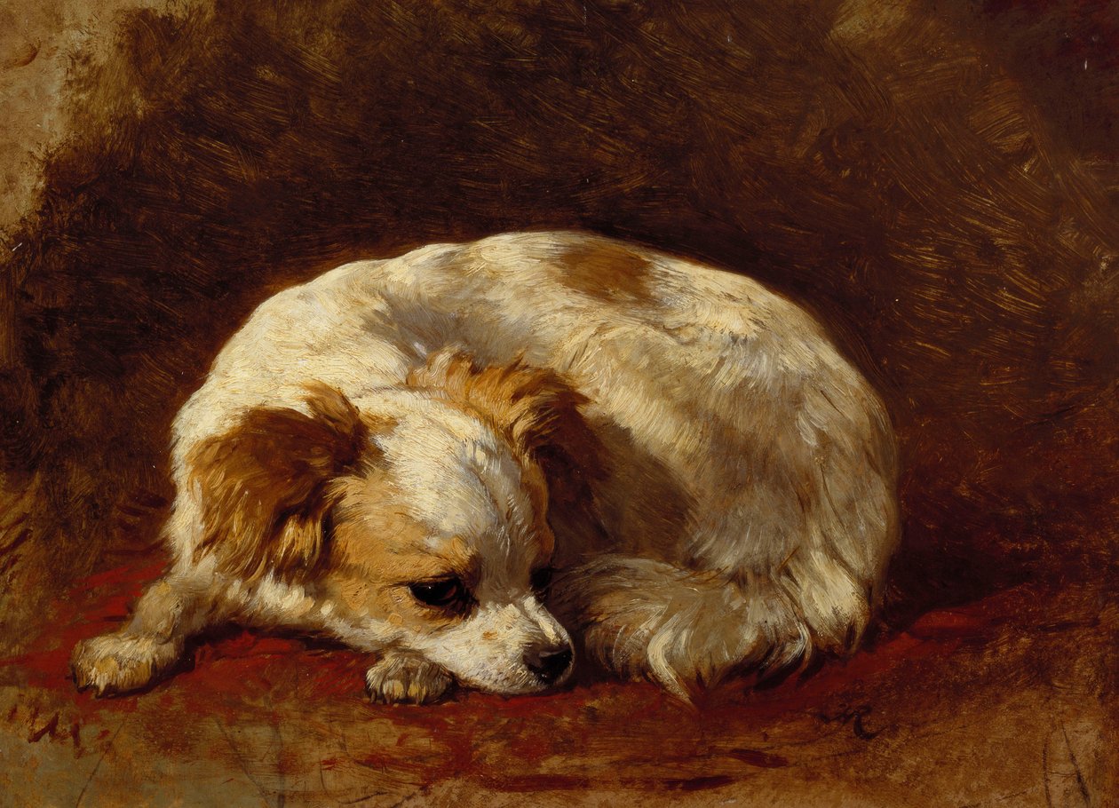 Motýl od Henriëtte Ronner Knip