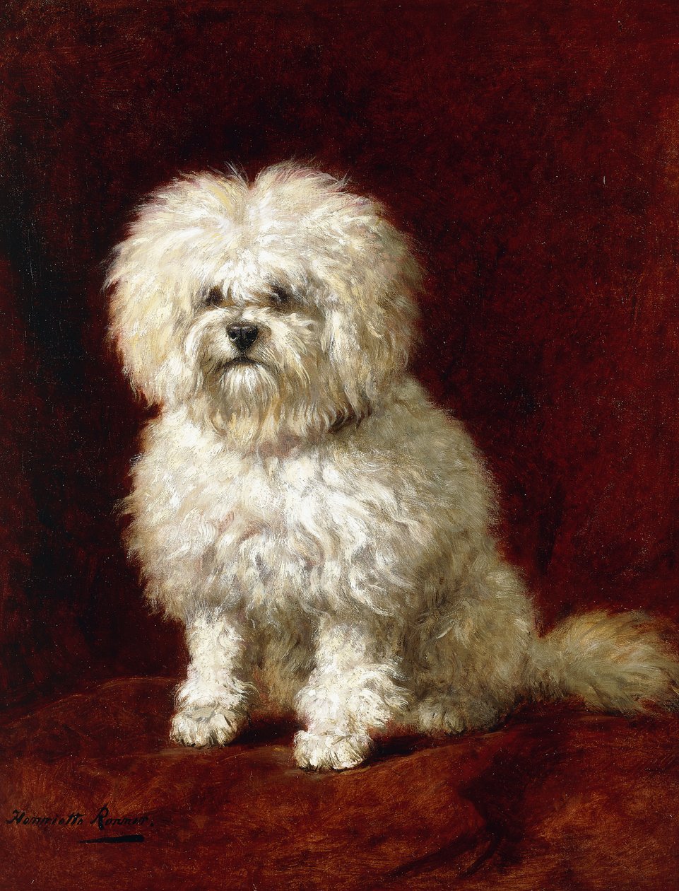 pudl, od Henriëtte Ronner Knip