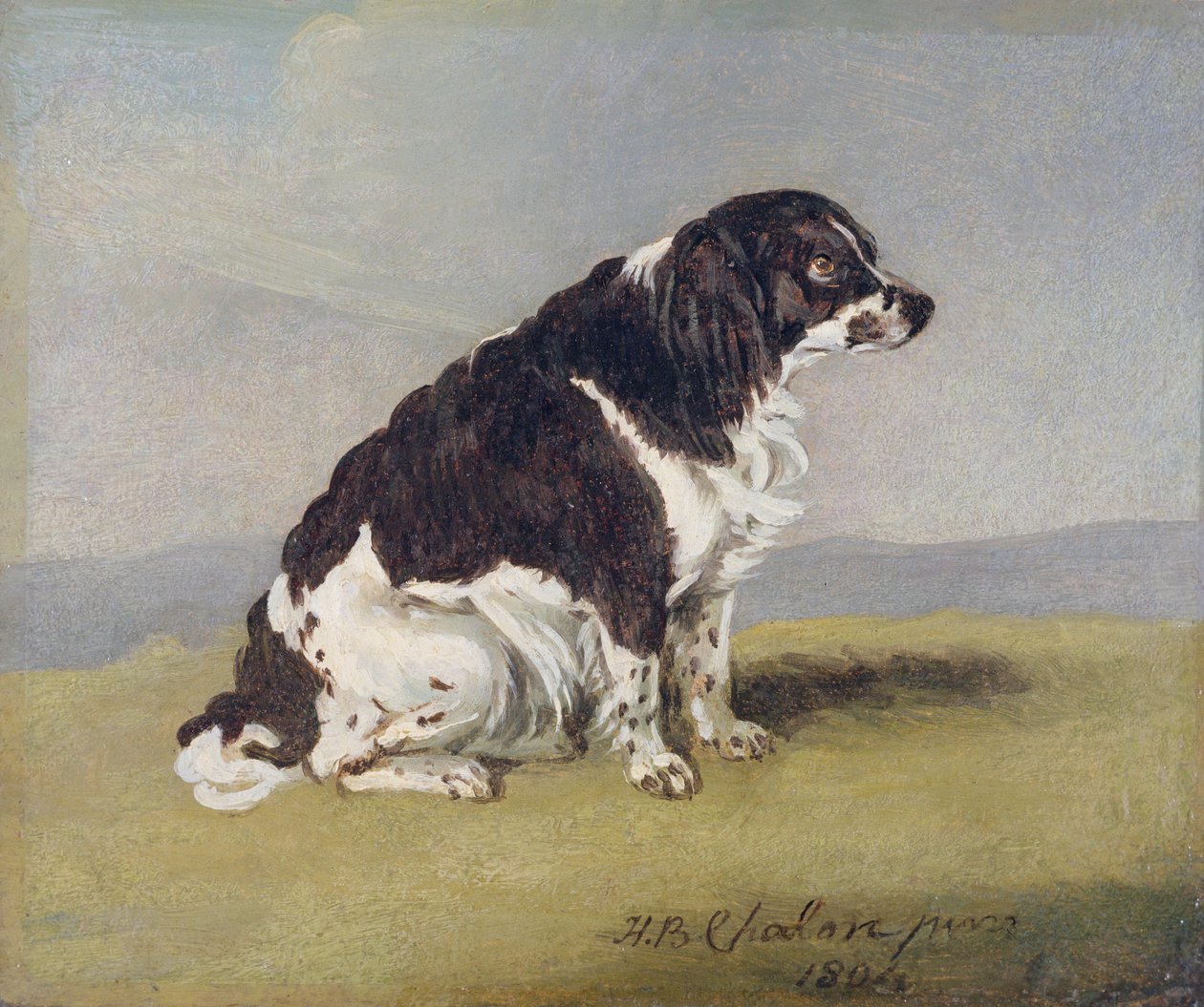 Španěl vévodkyně z Yorku, 1804 (olej na mlýnské desce) od Henry Bernard Chalon