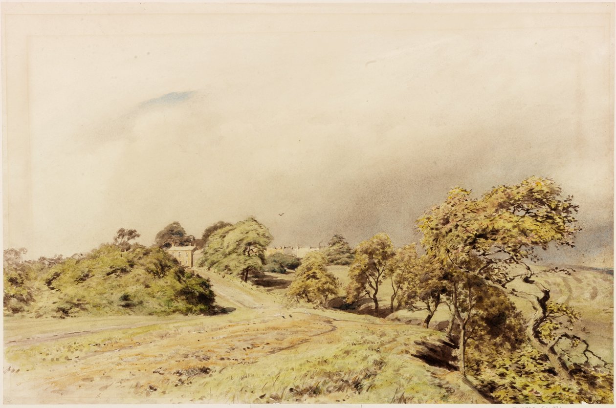 Beaumont (tělová barva) od Henry Burdon Richardson