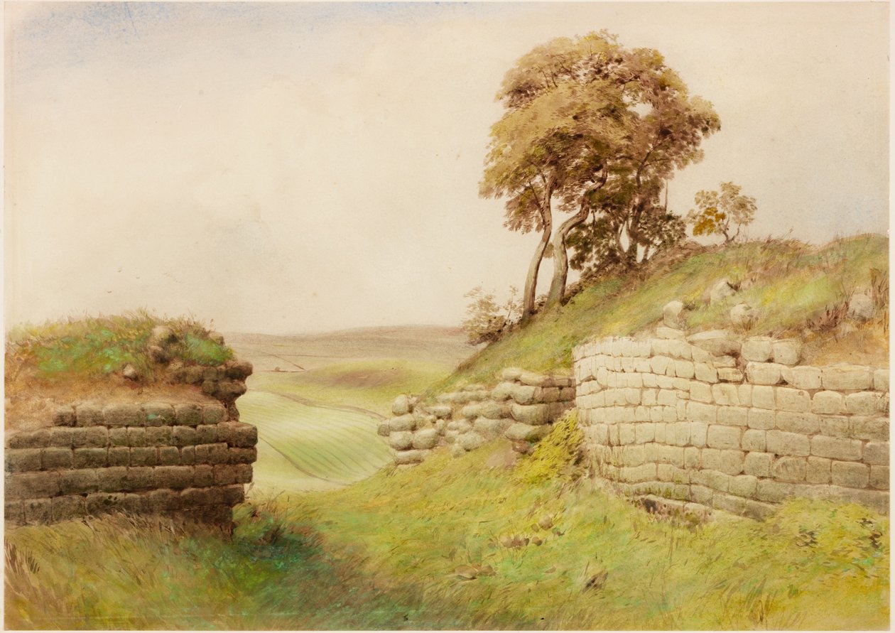 Birdswald (barva těla) od Henry Burdon Richardson