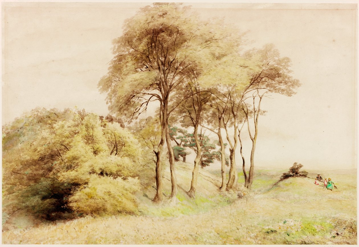 Drumburgh (barva těla) od Henry Burdon Richardson