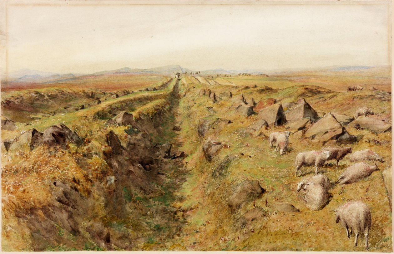 Limestone Bank (barva těla) od Henry Burdon Richardson