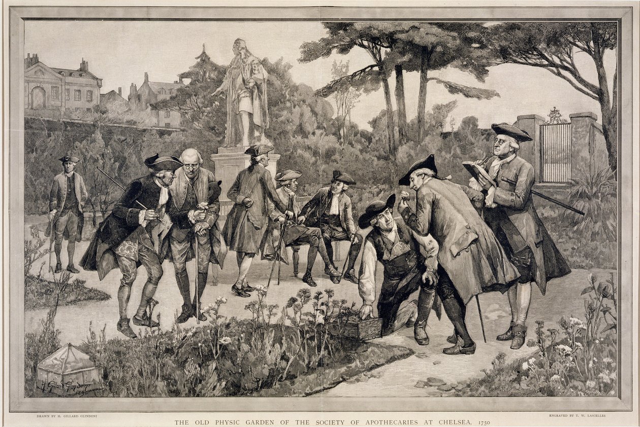 The Old Physic Garden of the Society of Apothecaries at Chelsea, 1750, vyryl Thomas W. Lascelles (fl.c.1885), 1890 od Henry Gillard Glindoni