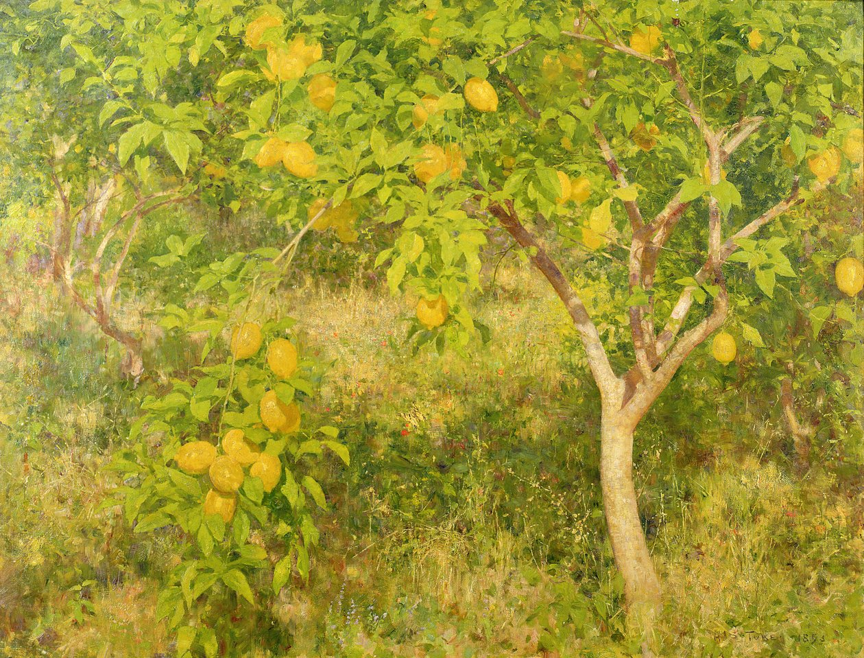 Lemon Tree, 1893 od Henry Scott Tuke