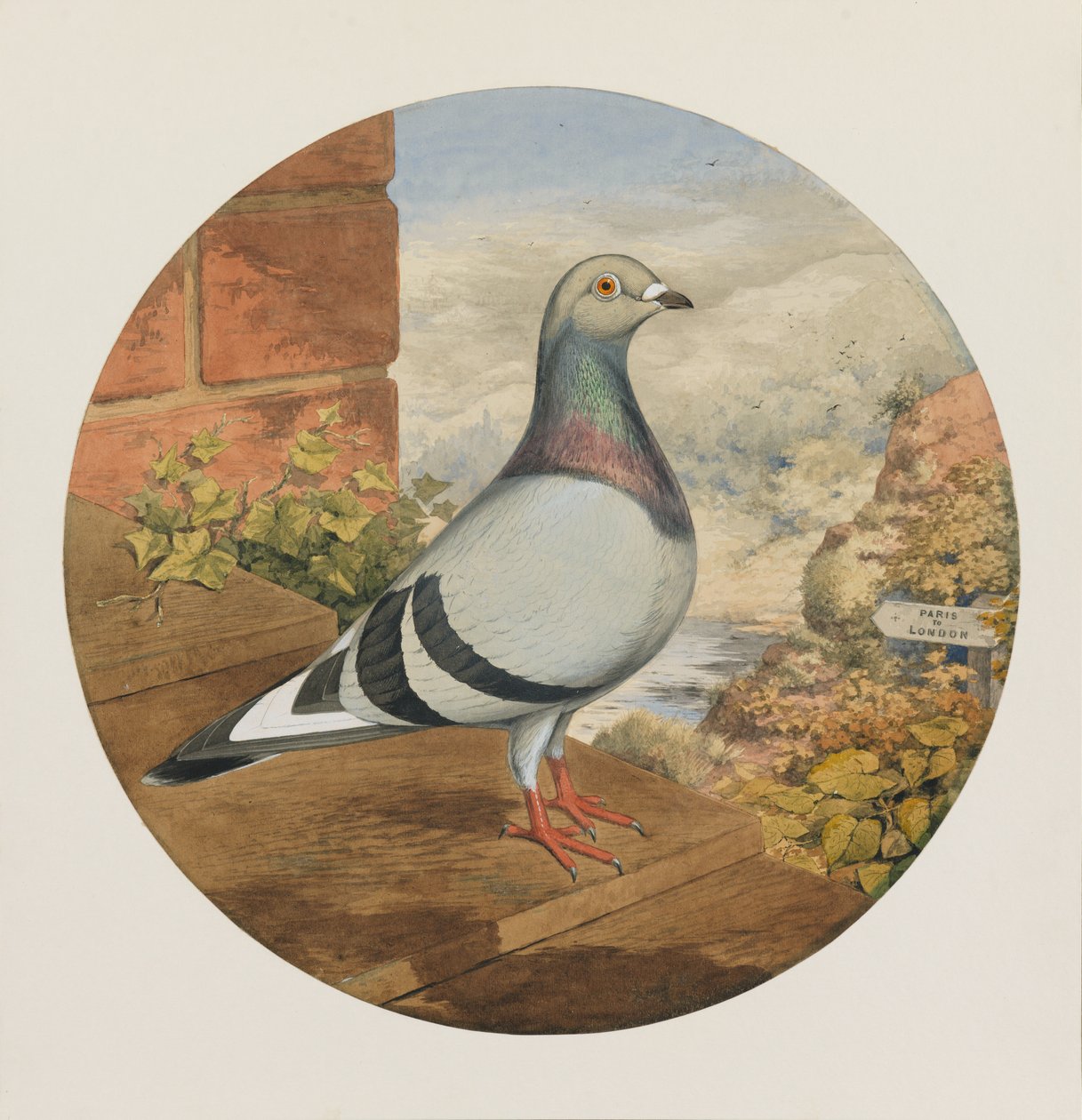 Závodní holubi, Paříž – Londýn, 1880 od Henry Stephen Ludlow
