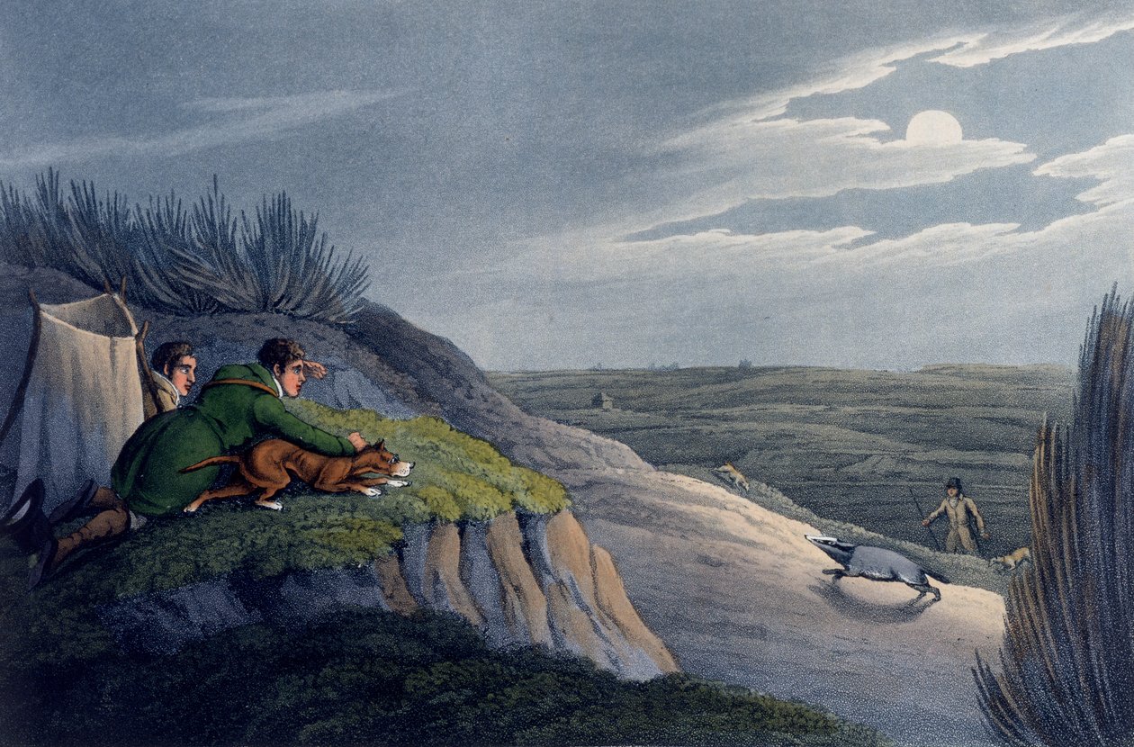 Chytání jezevce, 1820 od Henry Thomas Alken