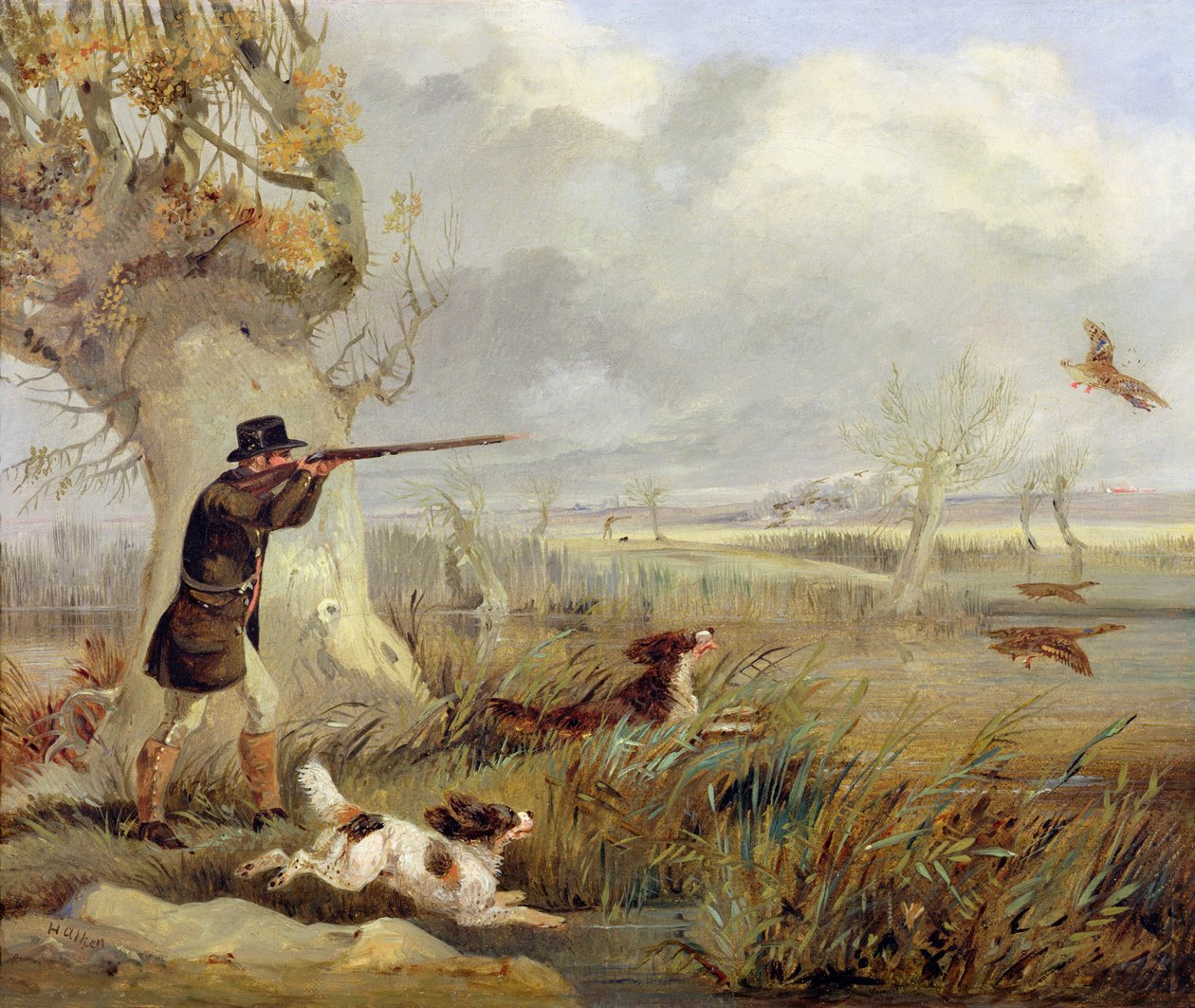 Kachna Střelba od Henry Thomas Alken
