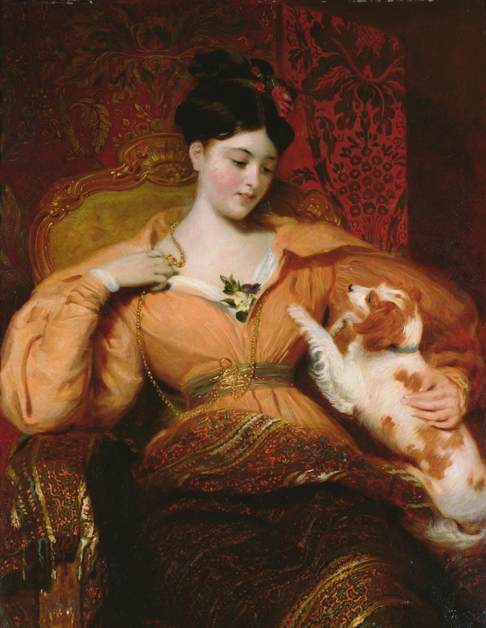 Domácí španěl od Henry Wyatt