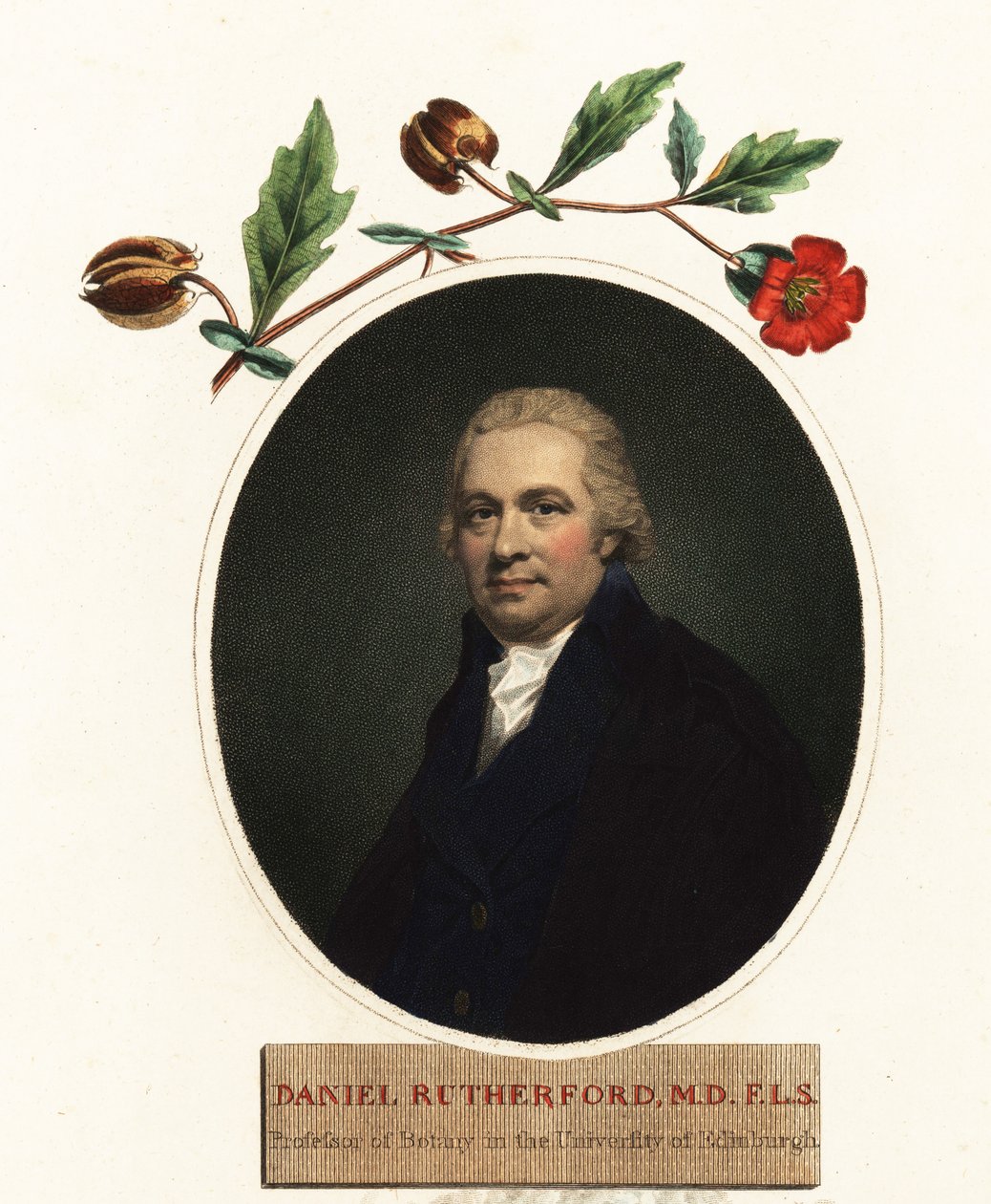 Portrét Daniela Rutherforda, botanika. 1805 (rytina) od Henry (after) Raeburn