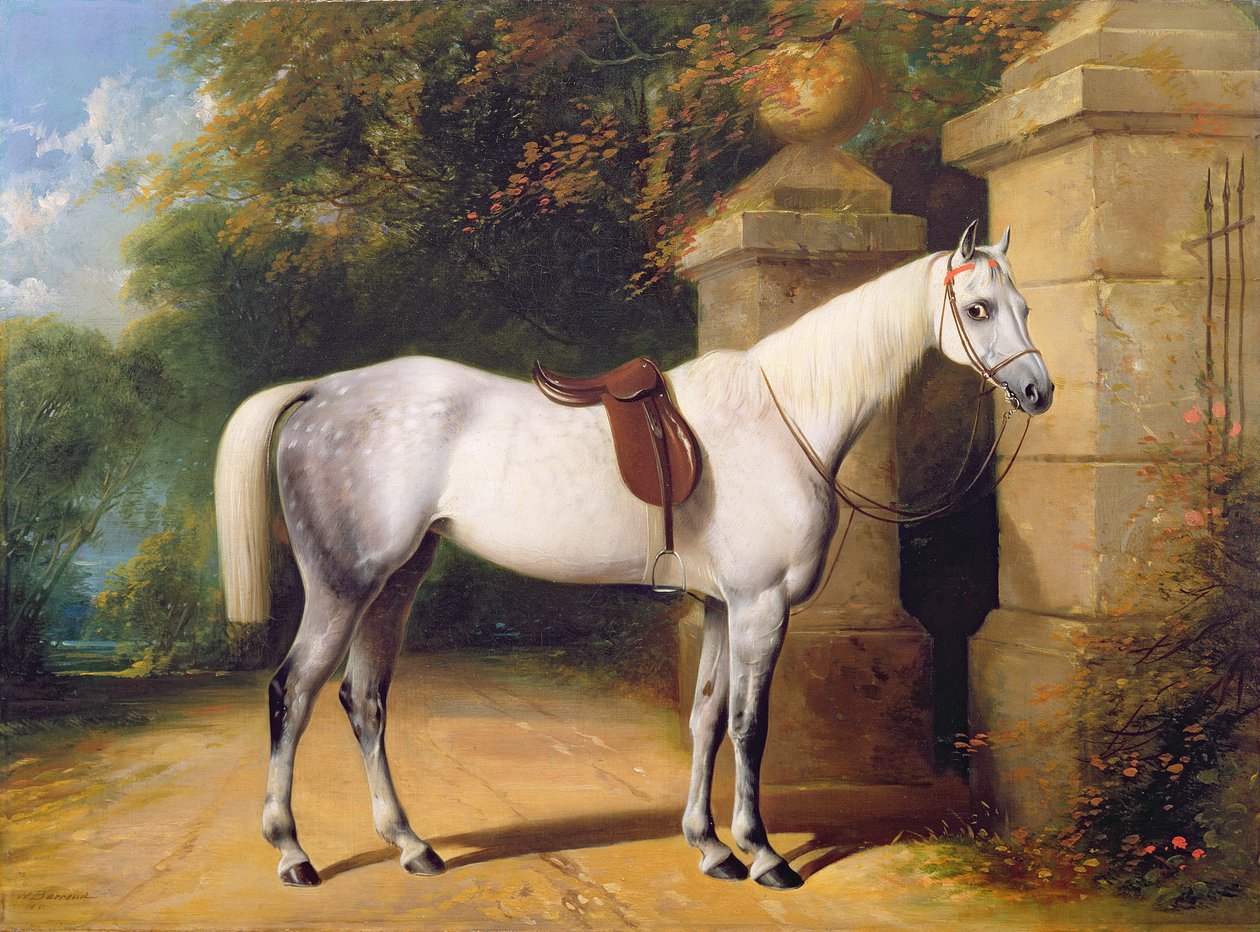 Šedý kůň od Park Gates, 1851 od Henry Barraud
