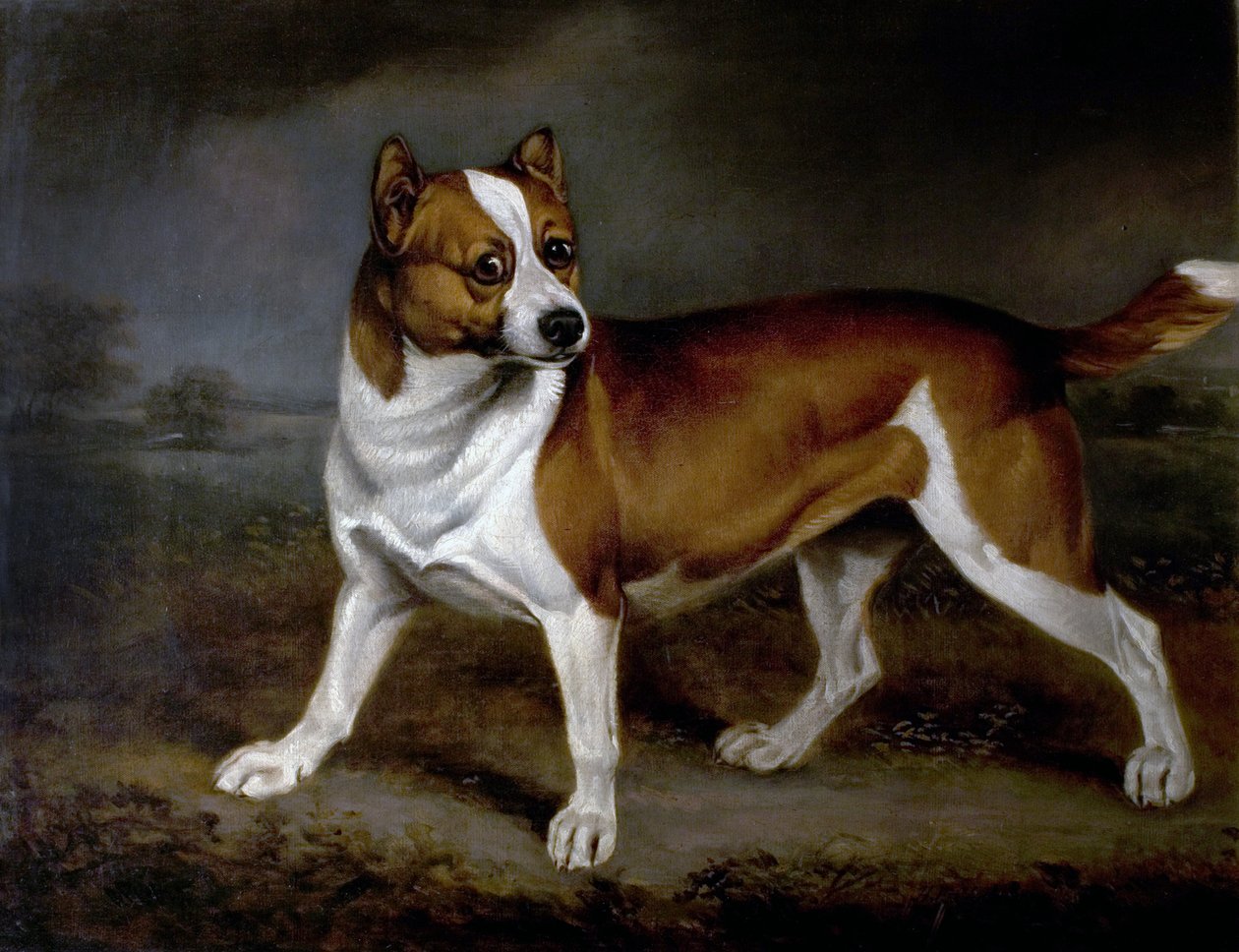 Kopřiva, 1812 od Henry Bernard Chalon