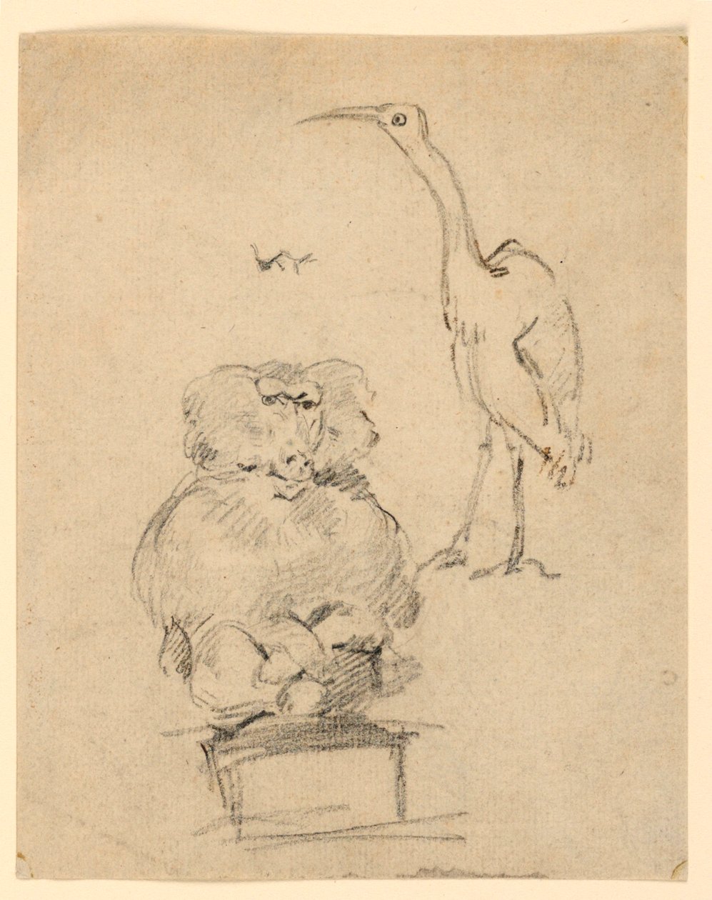 Studies of a Heron and a Monkey   1289666   cs       czech Successfully Translated  Original: Gewonden op het slagveld Ruiters, paarden en veldslagen (series title) Translat: Gewonden op het slagveld Ruiters, paarden en veldslagen (series title) 1332050 cs od Henry Bernard Chalon