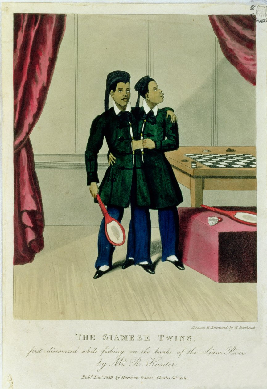 Siamská dvojčata, poprvé objevená při rybaření na březích řeky Siam panem R. Hunterem, 1829 od Henry Berthoud