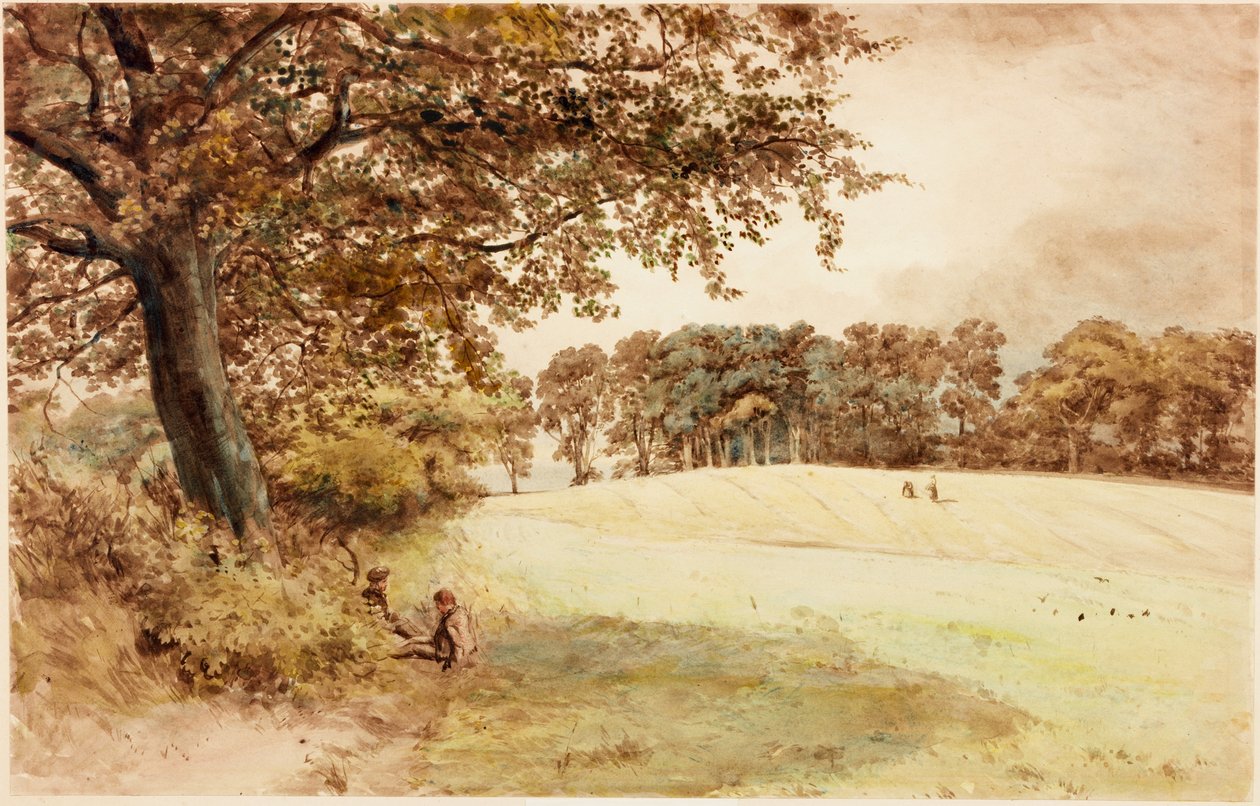 Benwell Hill Top (barva karoserie) od Henry Burdon Richardson