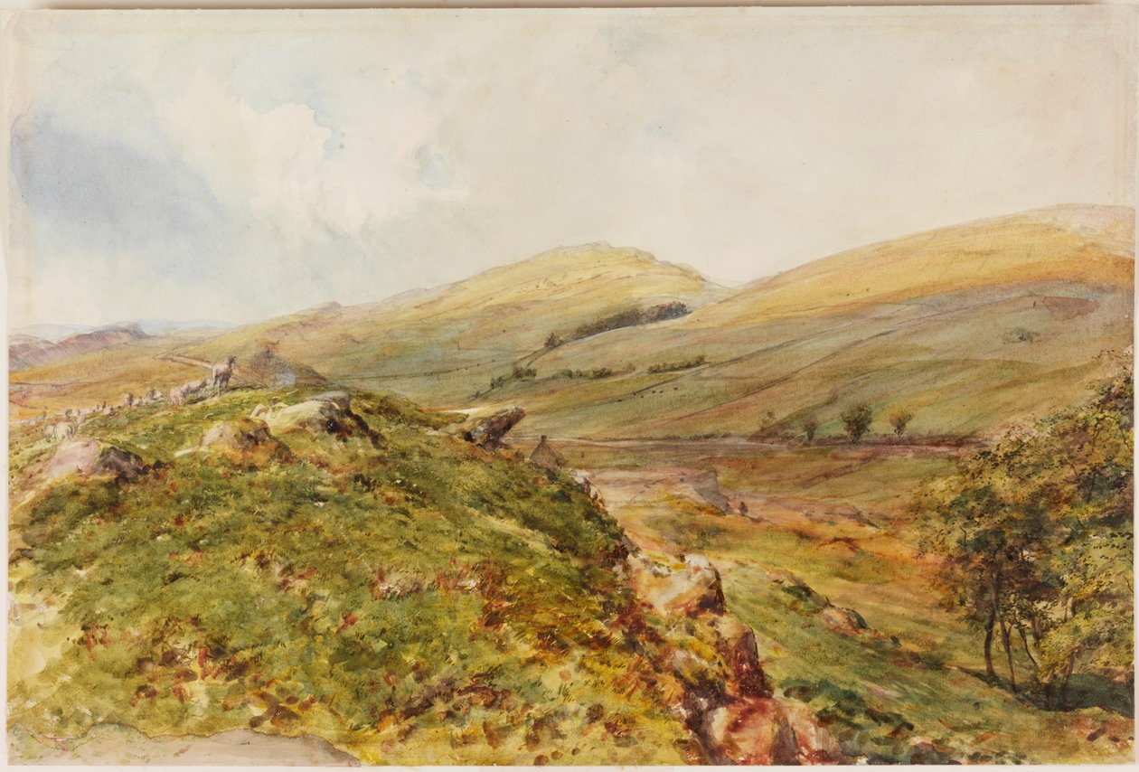 Cockmount Hill (barva karoserie) od Henry Burdon Richardson