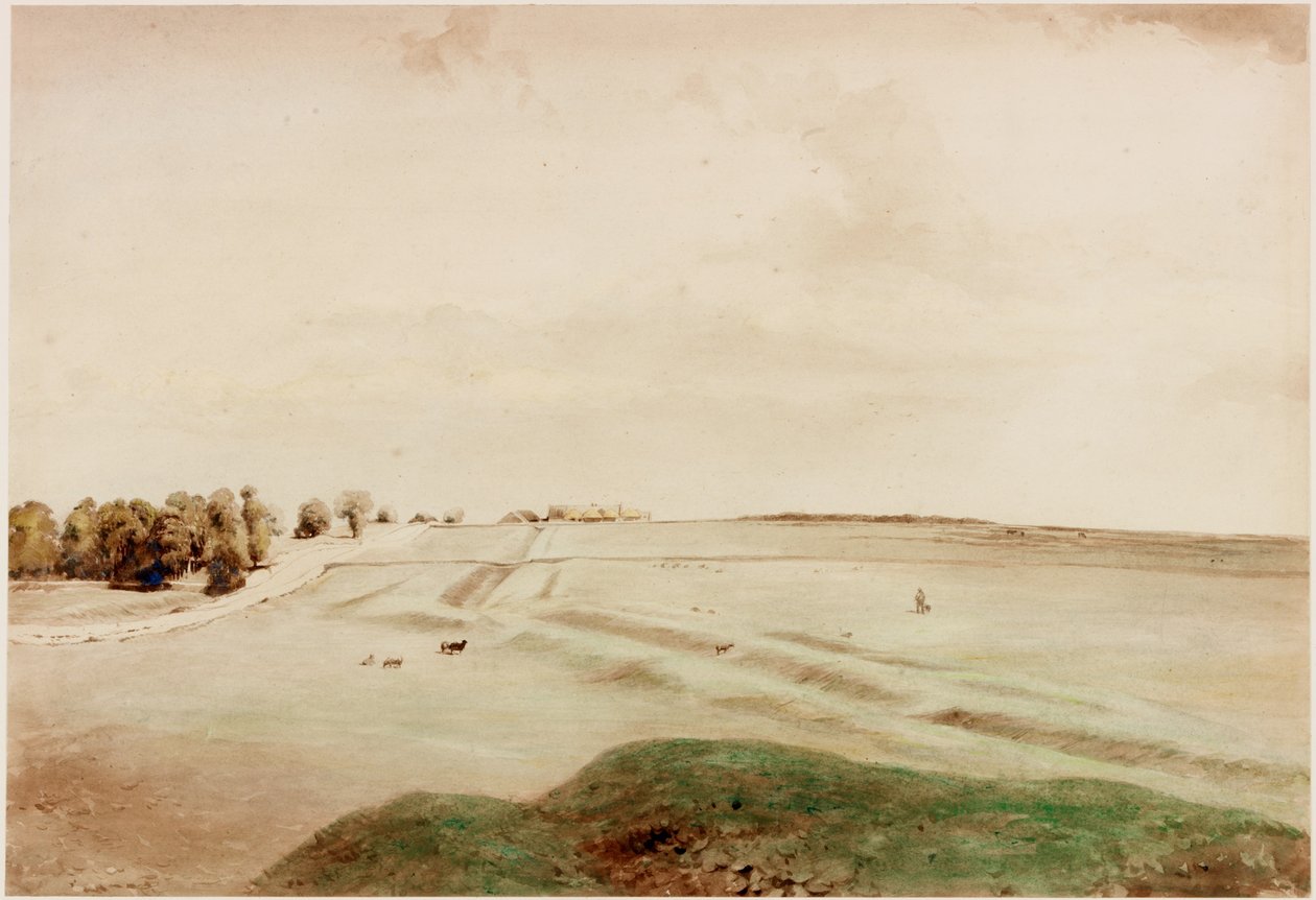 Down Hill, Northumberland (barva těla) od Henry Burdon Richardson