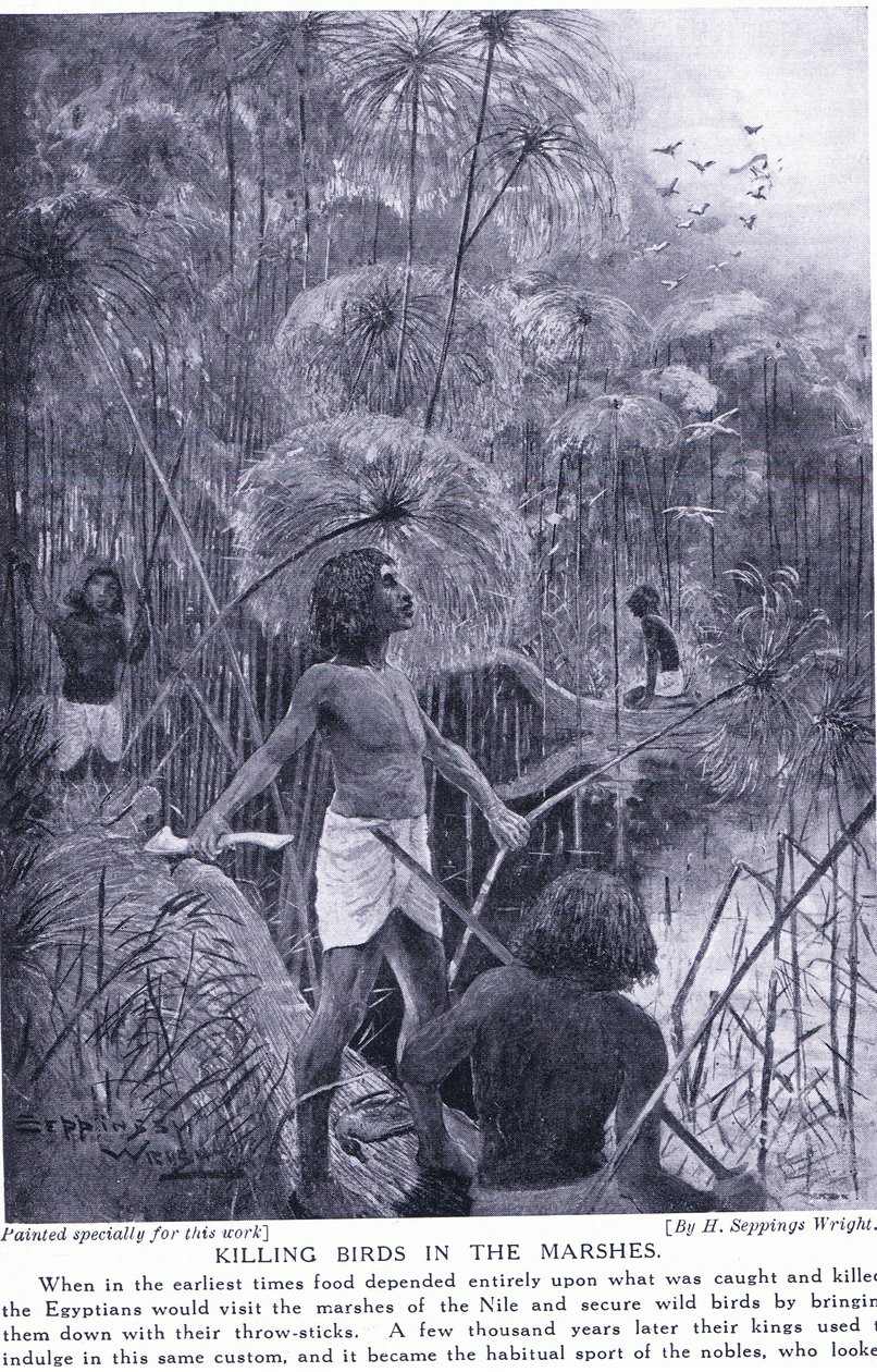 Zabíjení ptáků v bažinách, kolem roku 1920 od Henry Charles Seppings Wright