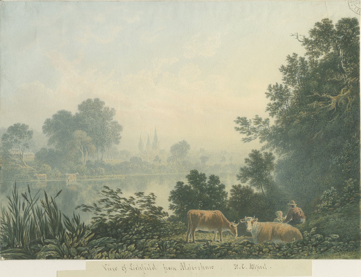Katedrála Lichfield - Pohled z Aldershaw od Henry Curzon Allport